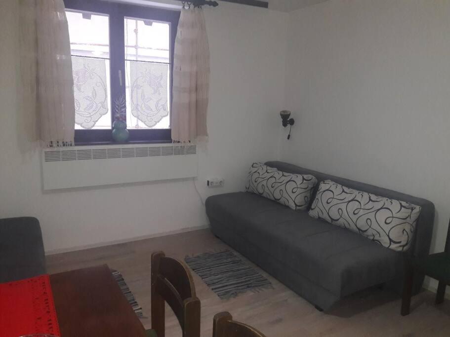 Apartman Ema,Bela Reka,Brzece view 5