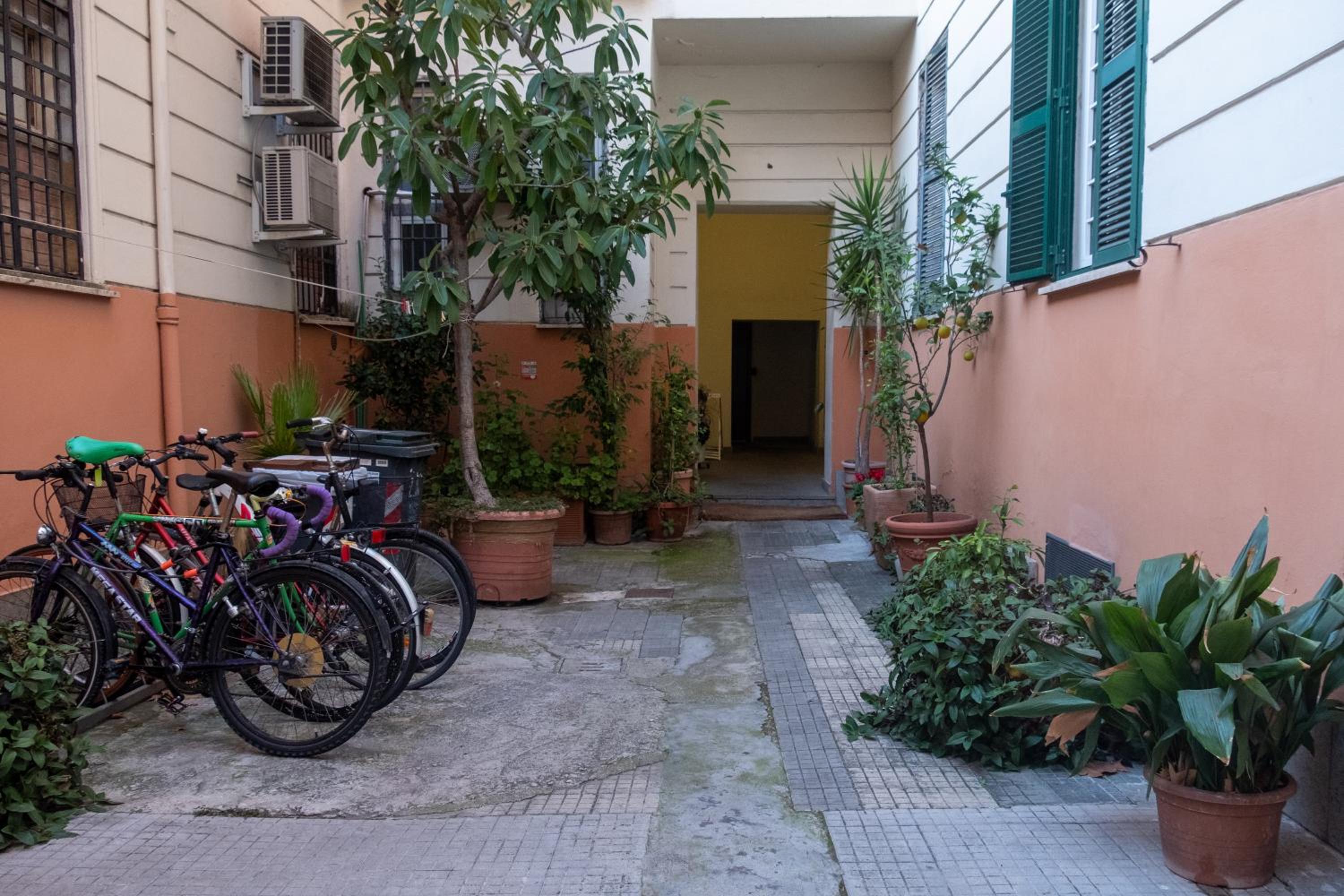 DOMVS Ginori Testaccio