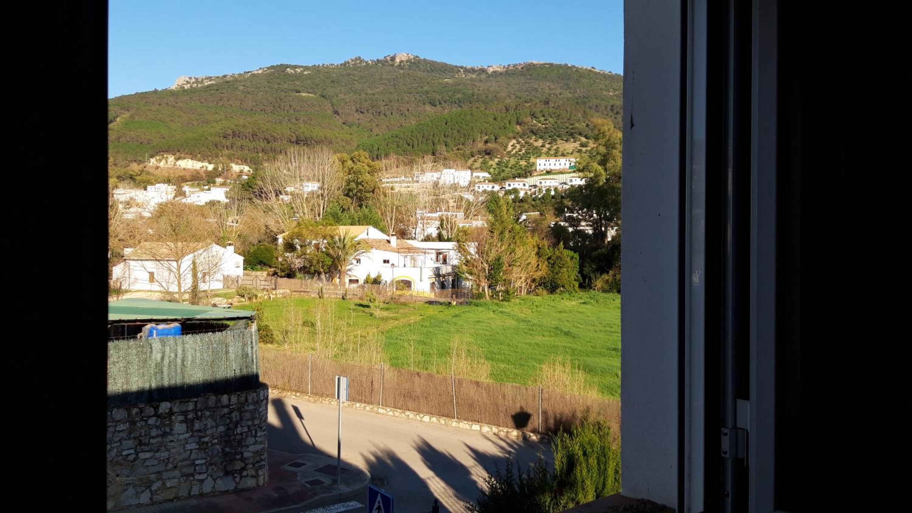 La Casa del Bosque view 4
