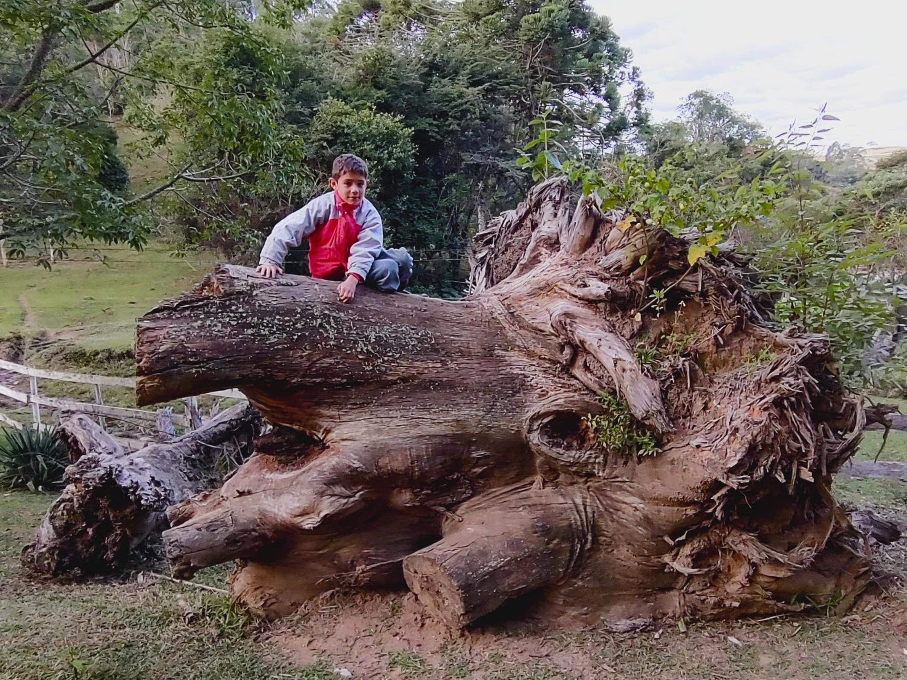 Chales Vinhas da Harmonia l Pousada em Cunha SP