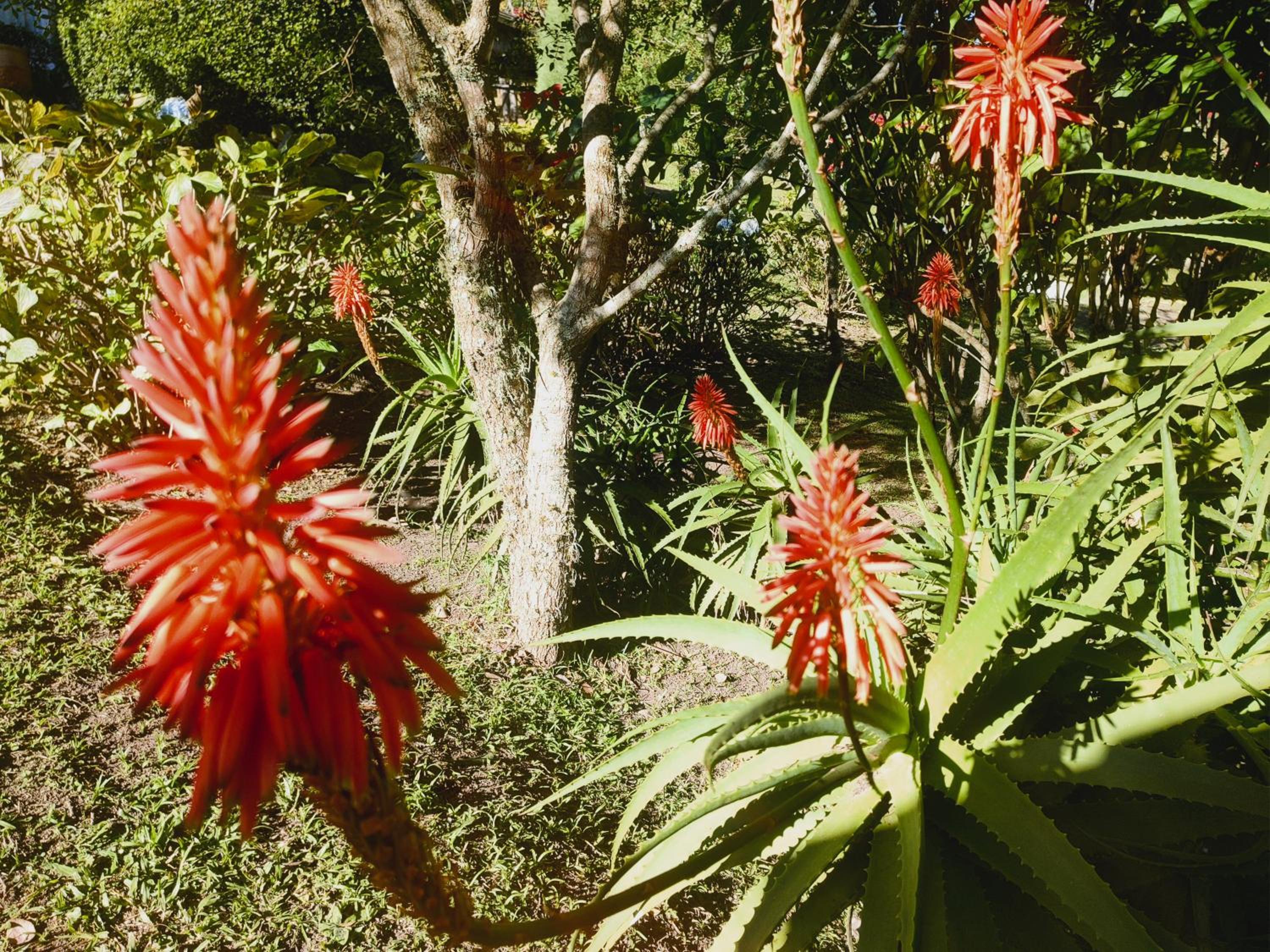 Chales Vinhas da Harmonia l Pousada em Cunha SP