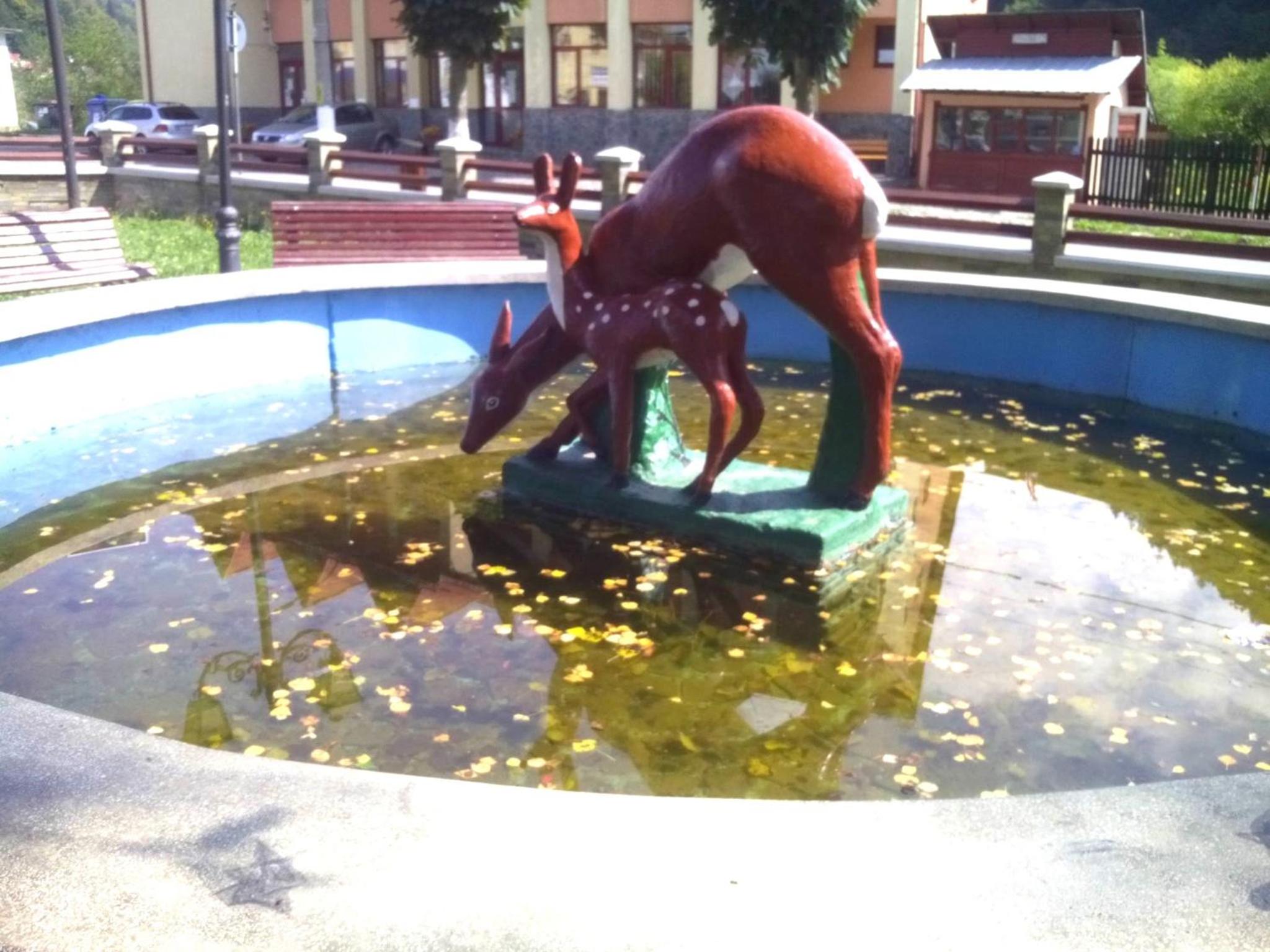 Photo 33