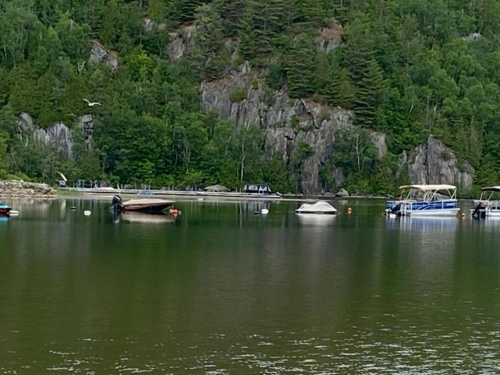 Lake side escape (log home)