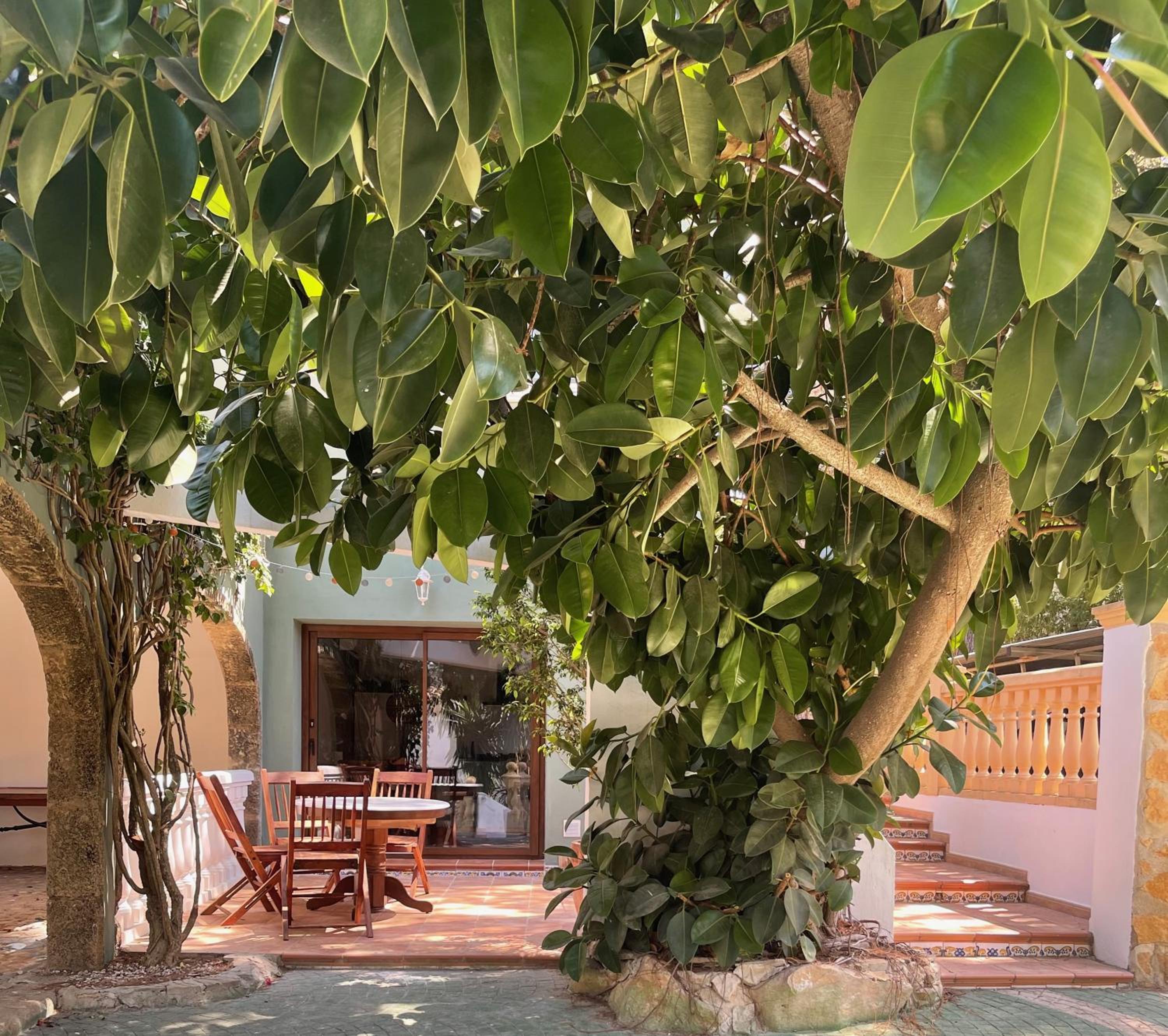 La Posada Paradiso