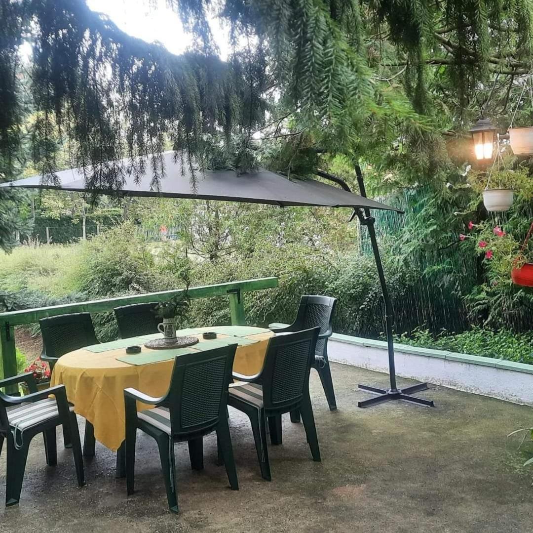 Šumska kuća Atina- Devojački Bunar view 3
