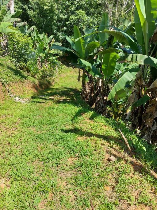 Finca Makambu