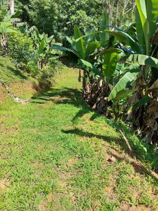 Finca Makambu