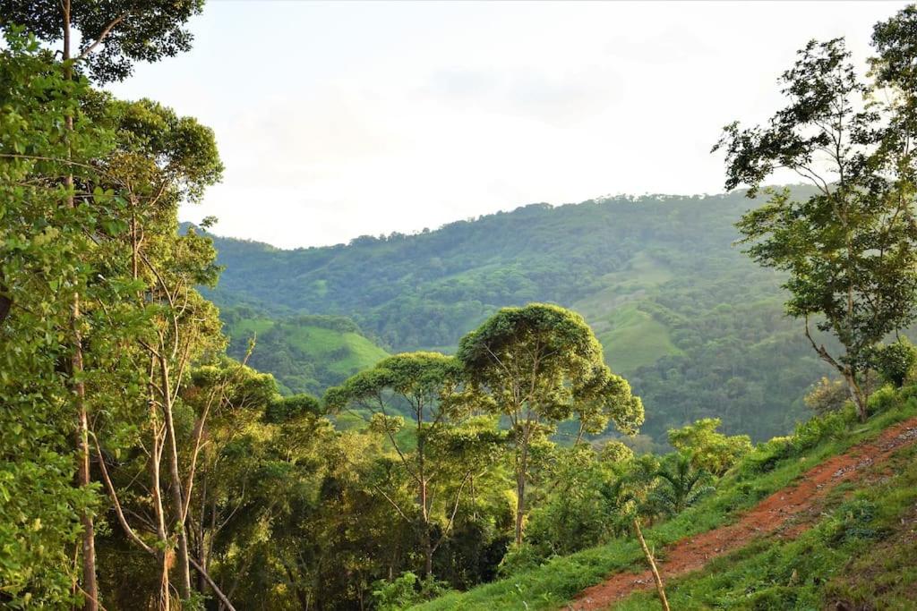 Finca Makambu