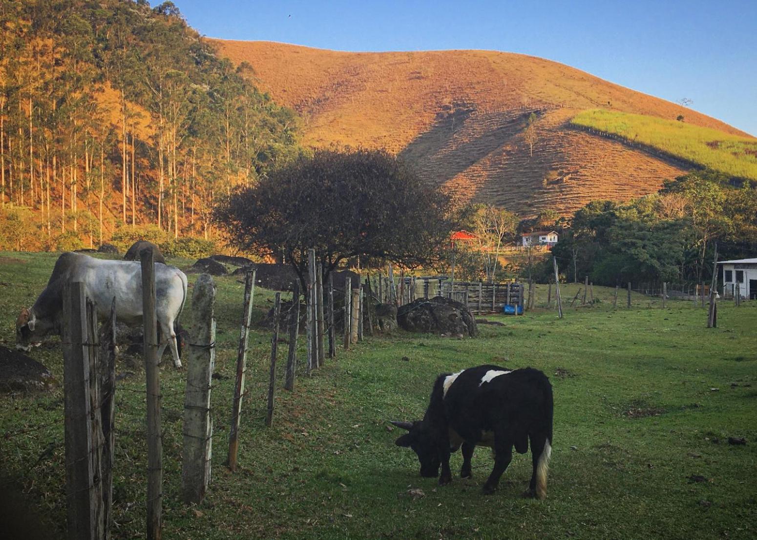 Refúgios Na Mantiqueira