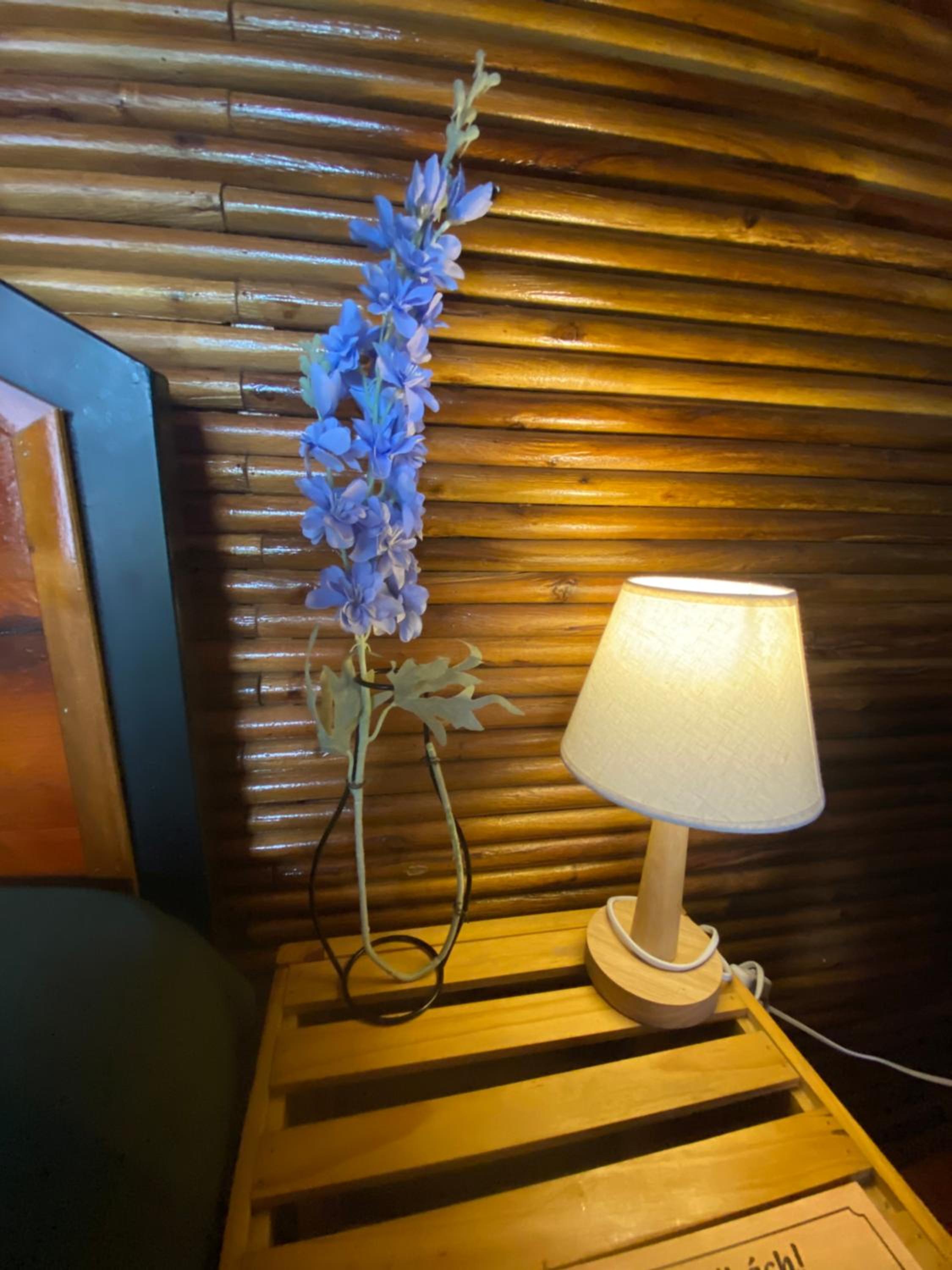 D&D riverside Homestay view 5