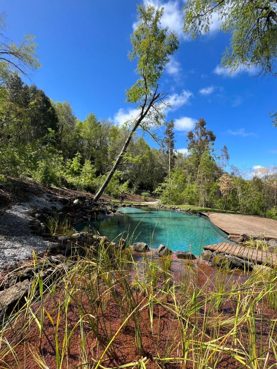 Cabaña en el bosque-Termas de Chillán