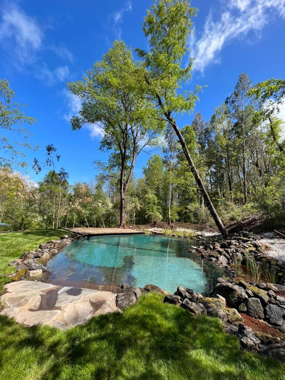 Cabaña en el bosque-Termas de Chillán