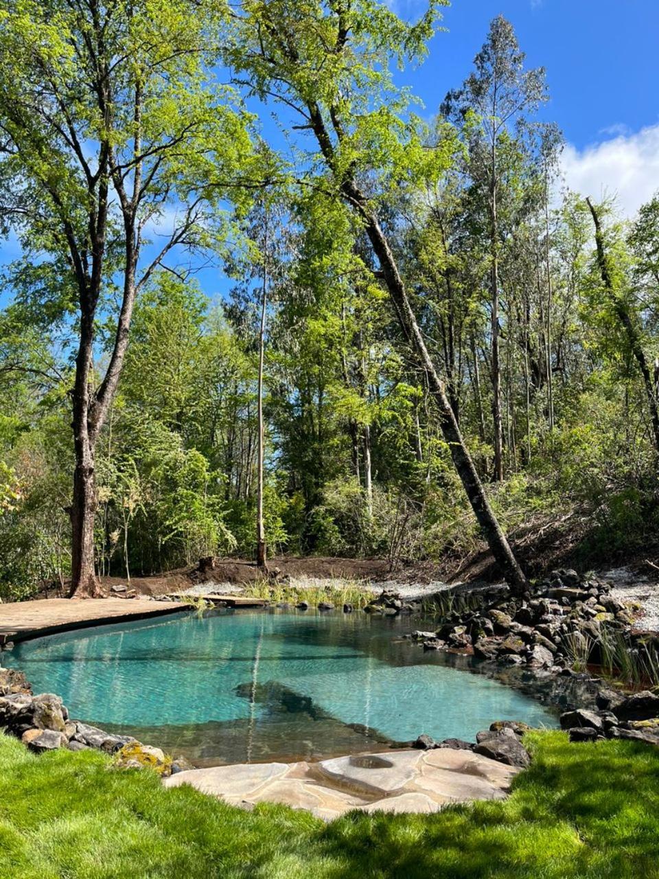Cabaña en el bosque-Termas de Chillán