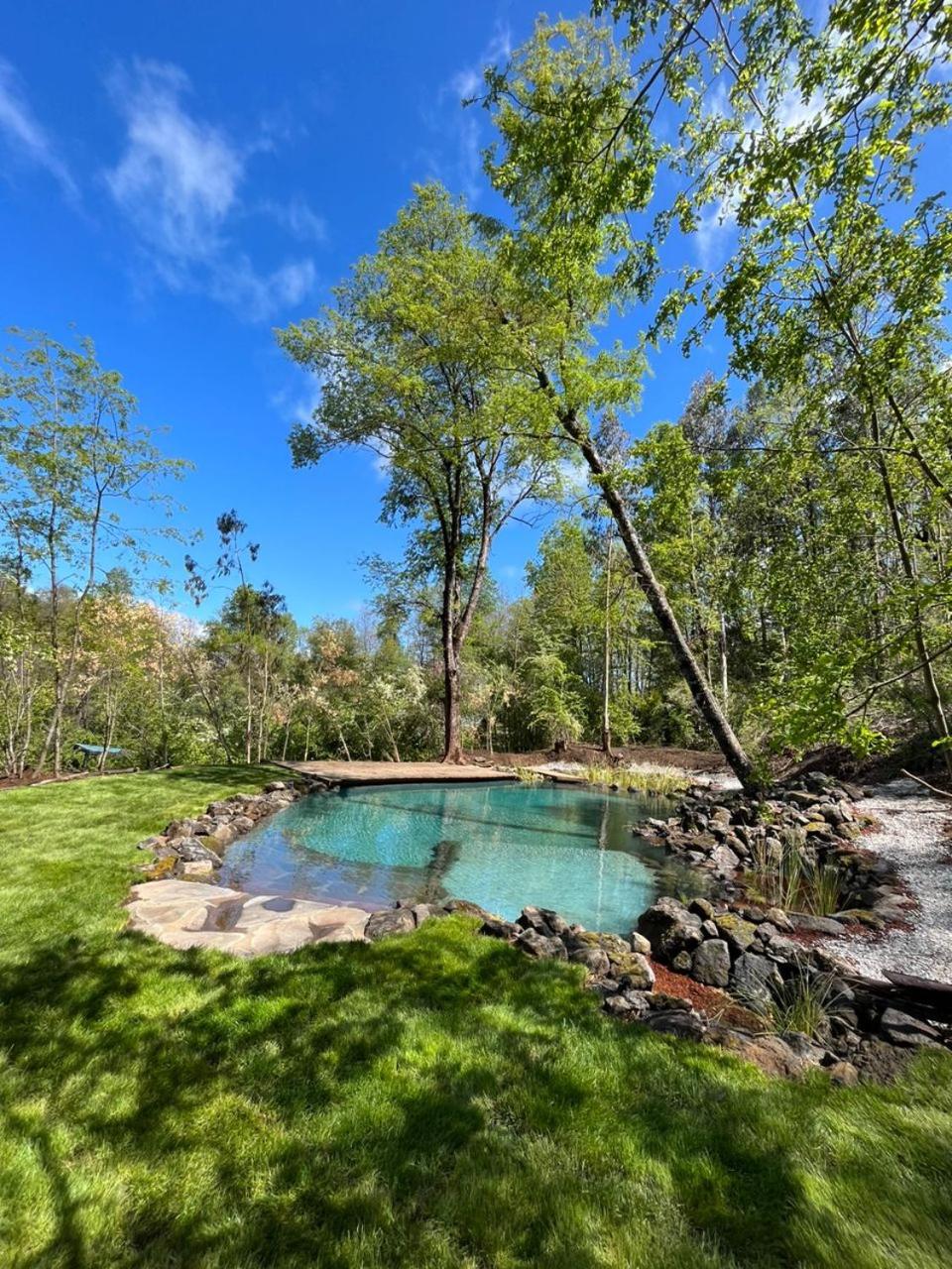 Cabaña en el bosque-Termas de Chillán