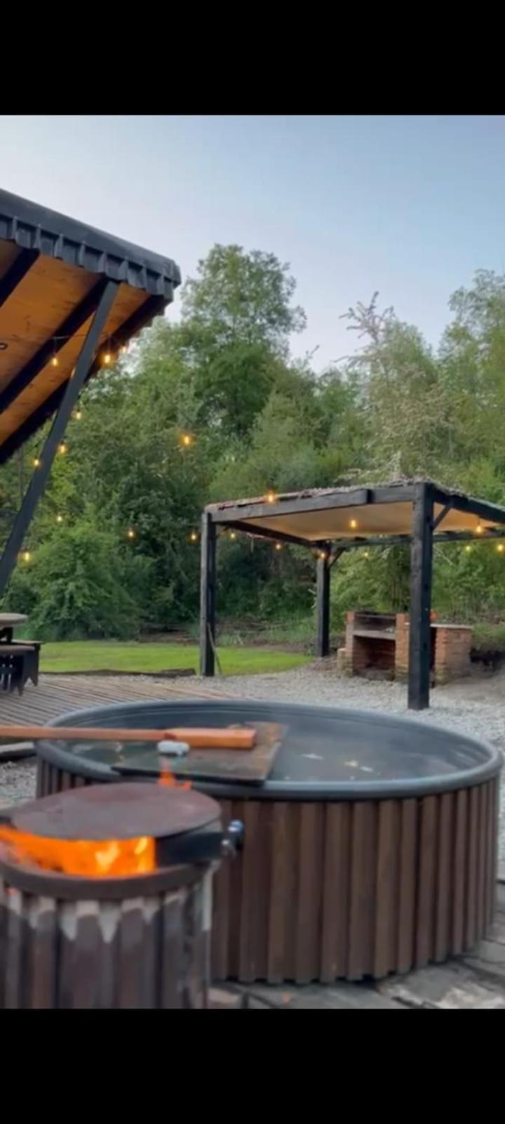 Cabaña en el bosque-Termas de Chillán