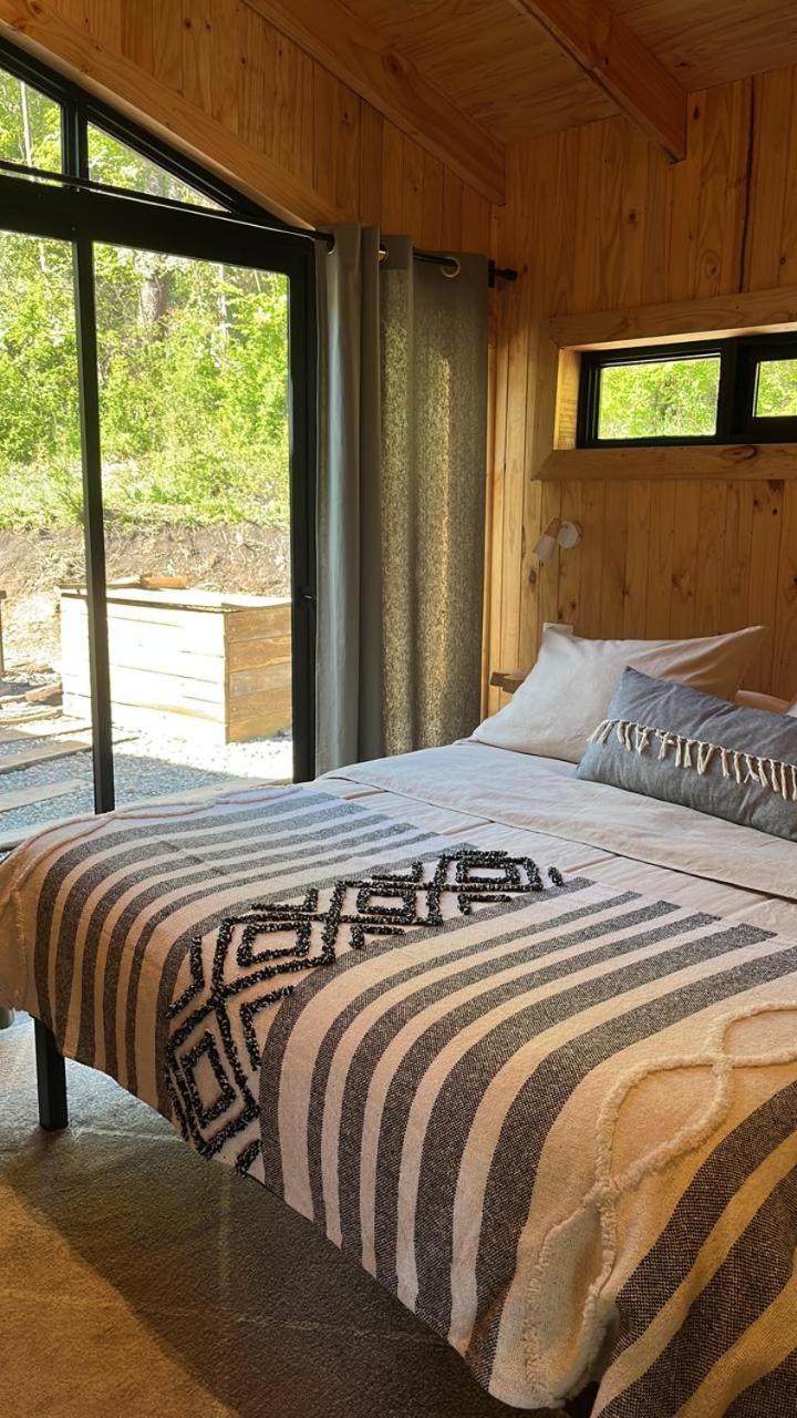 Cabaña en el bosque-Termas de Chillán