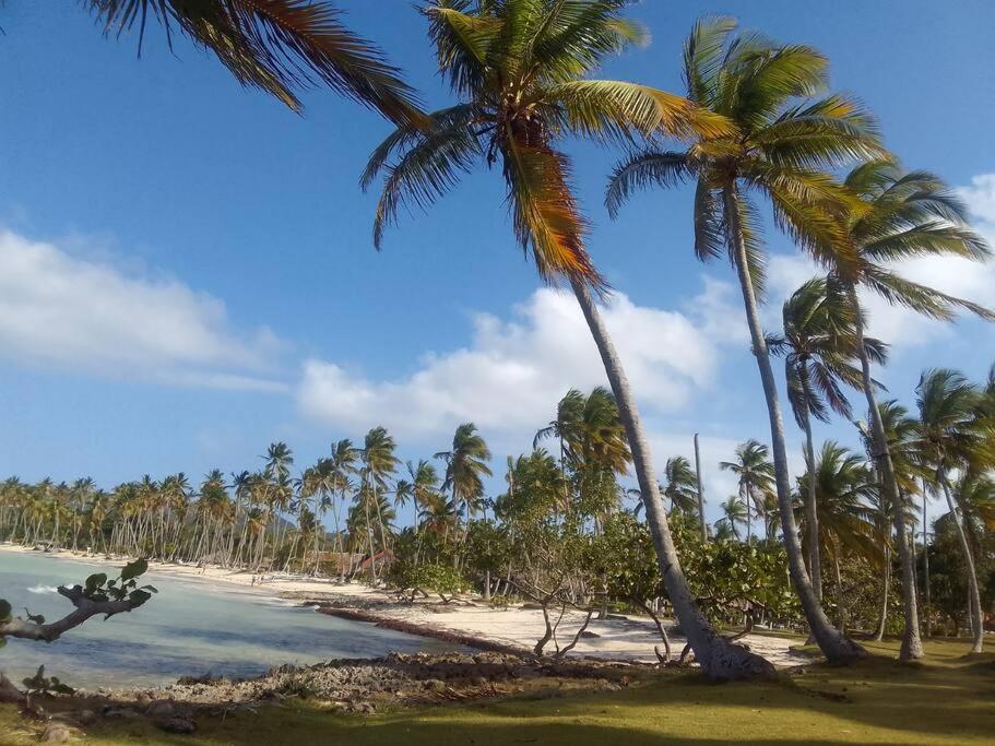 Caribbean house for family