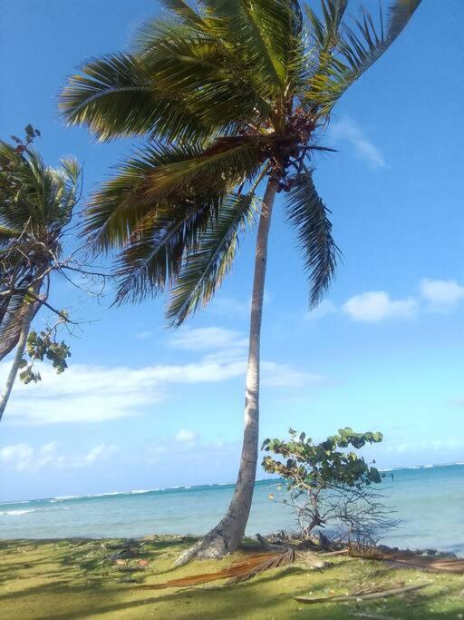 Caribbean house for family