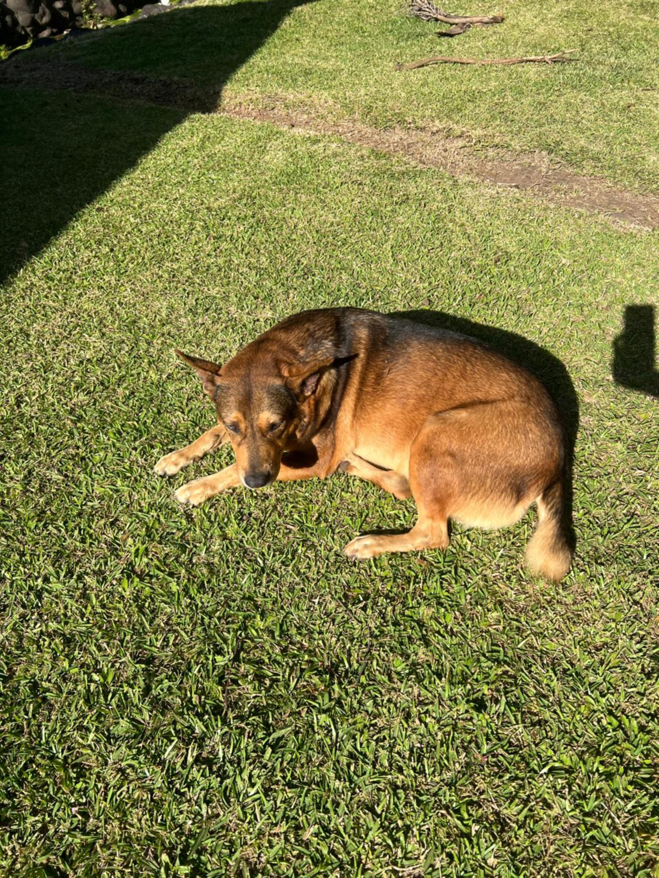 Photo 49