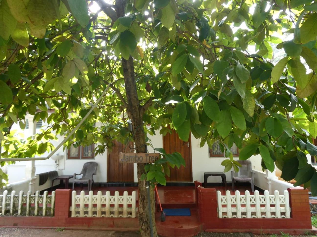 Photo 20