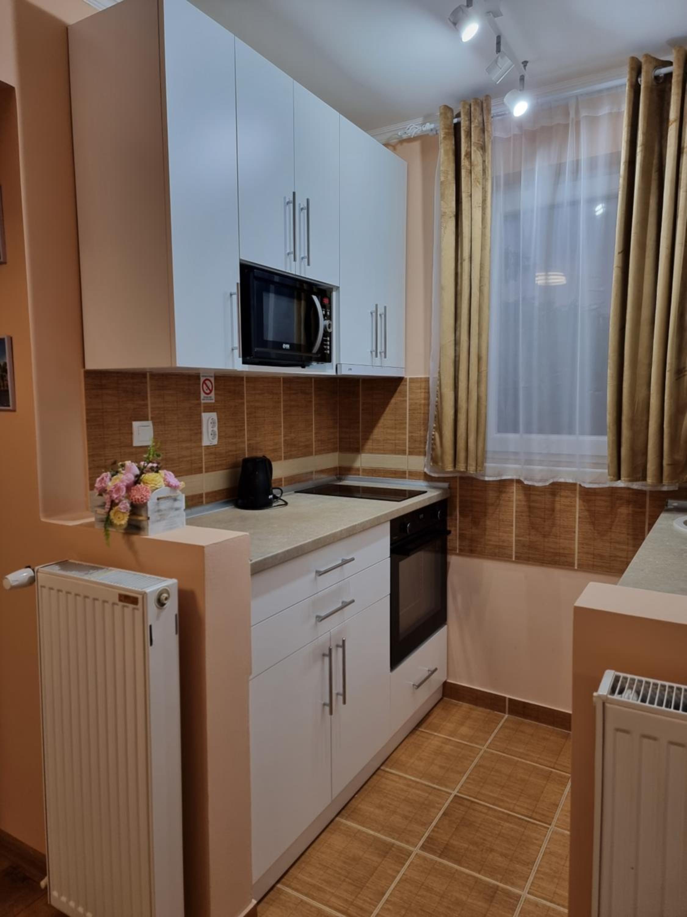 Apartman Aleksa