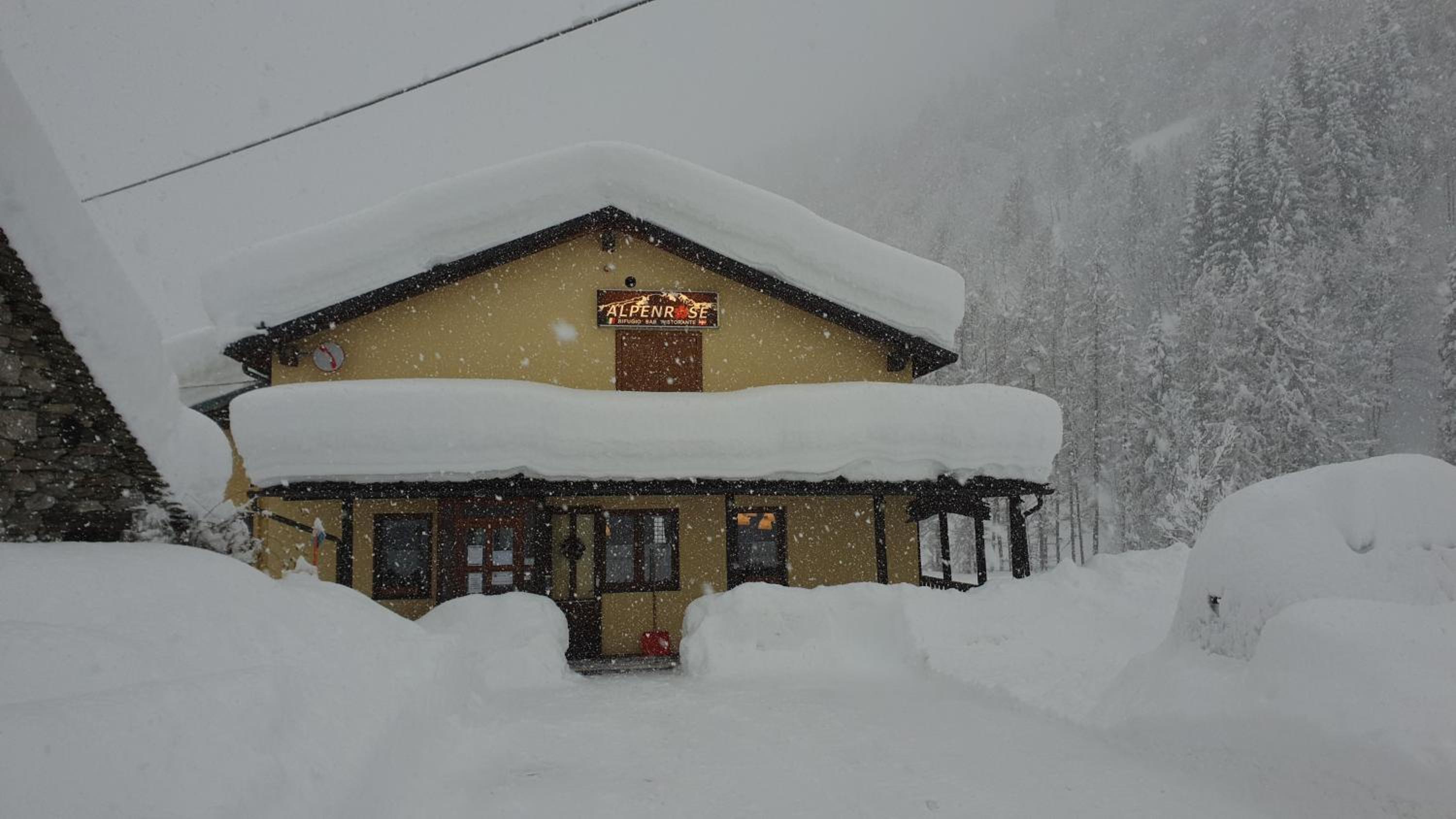 Rifugio Alpenrose