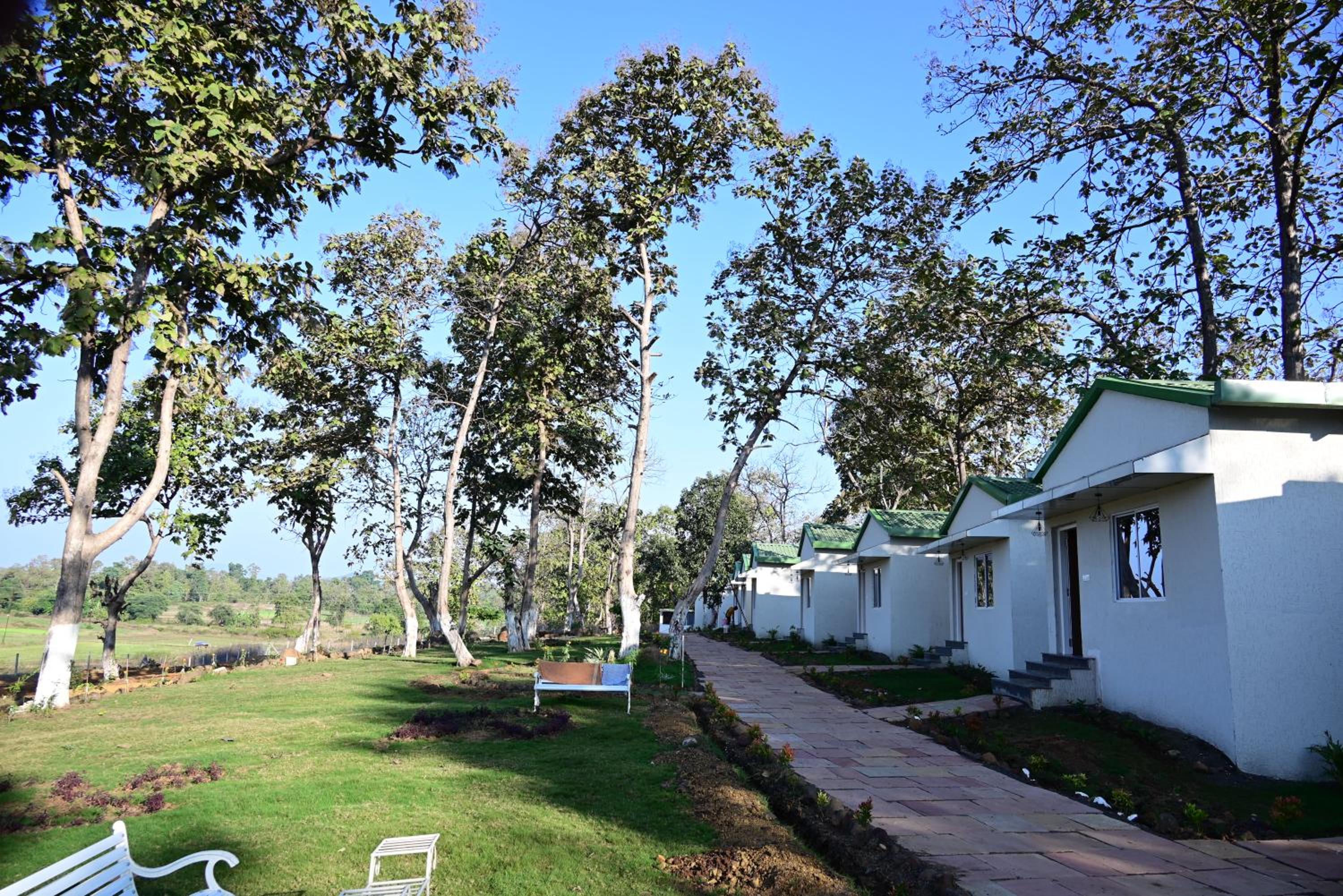 The Golden Woods Resort view 2