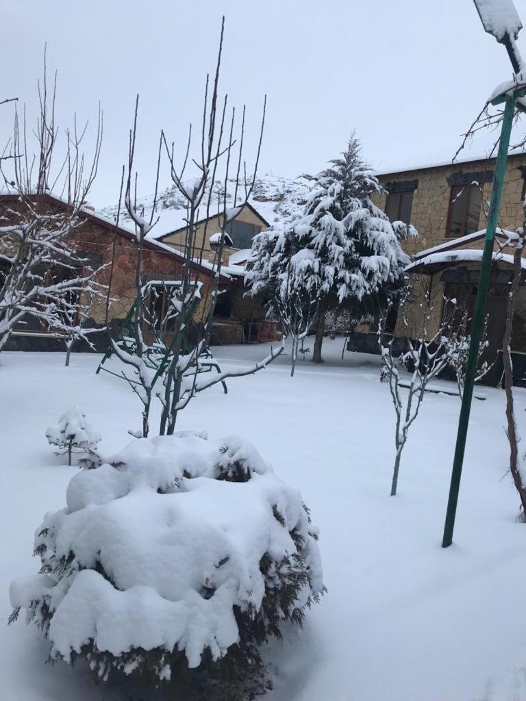 Green Garden Guest House