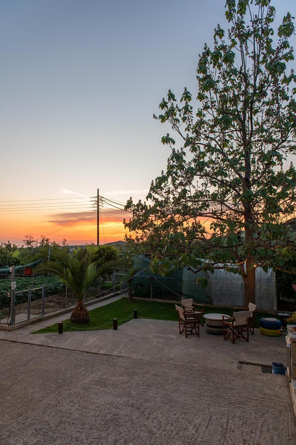 Ktima Lallas photo 3