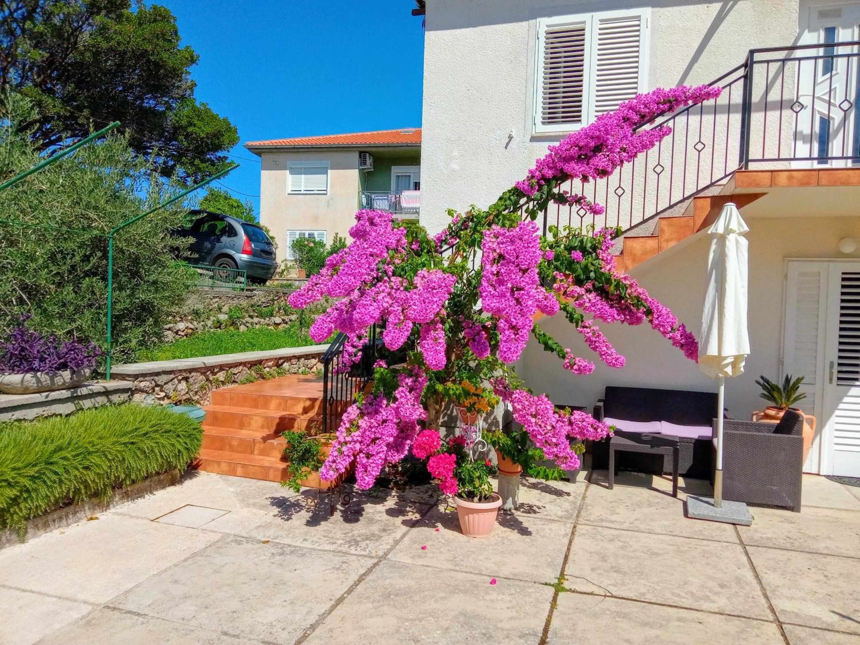 Apartmany Kosić