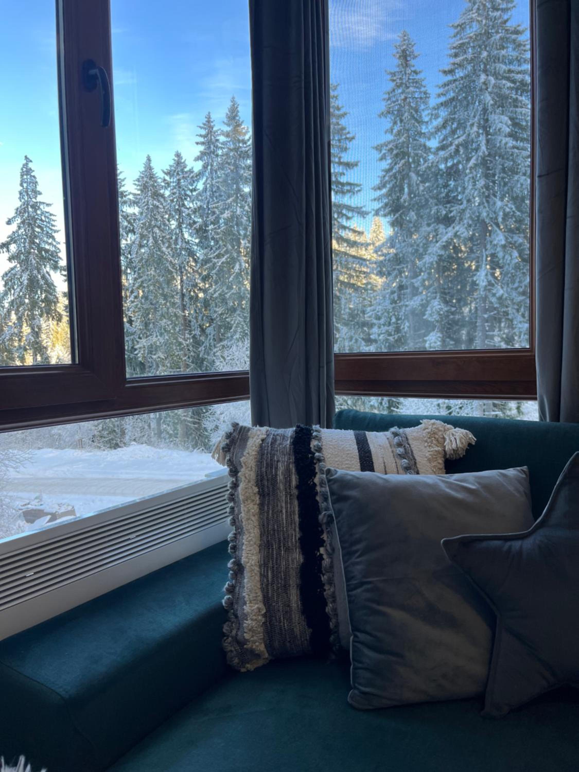 Elizi winter apartments Pamporovo