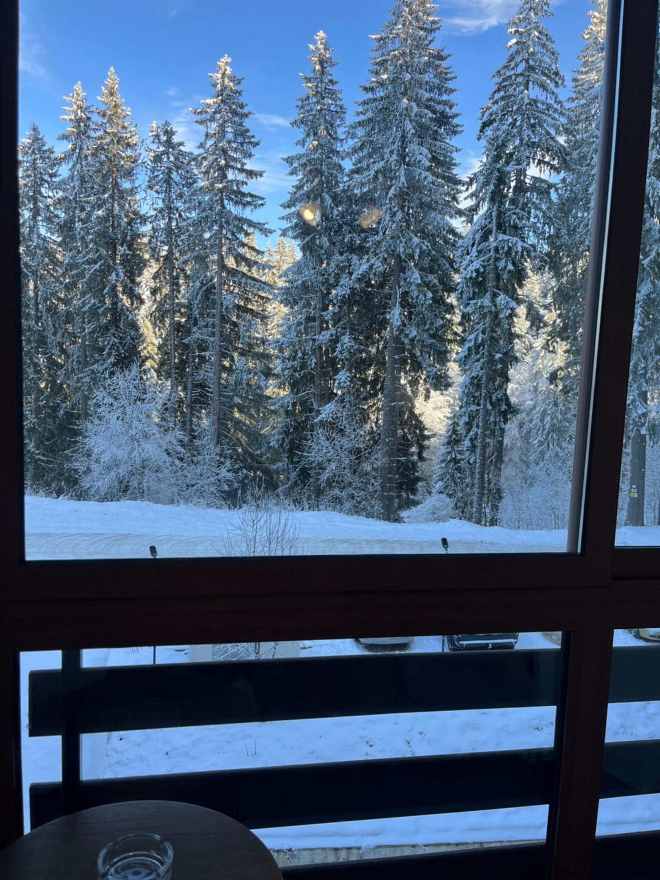 Elizi winter apartments Pamporovo