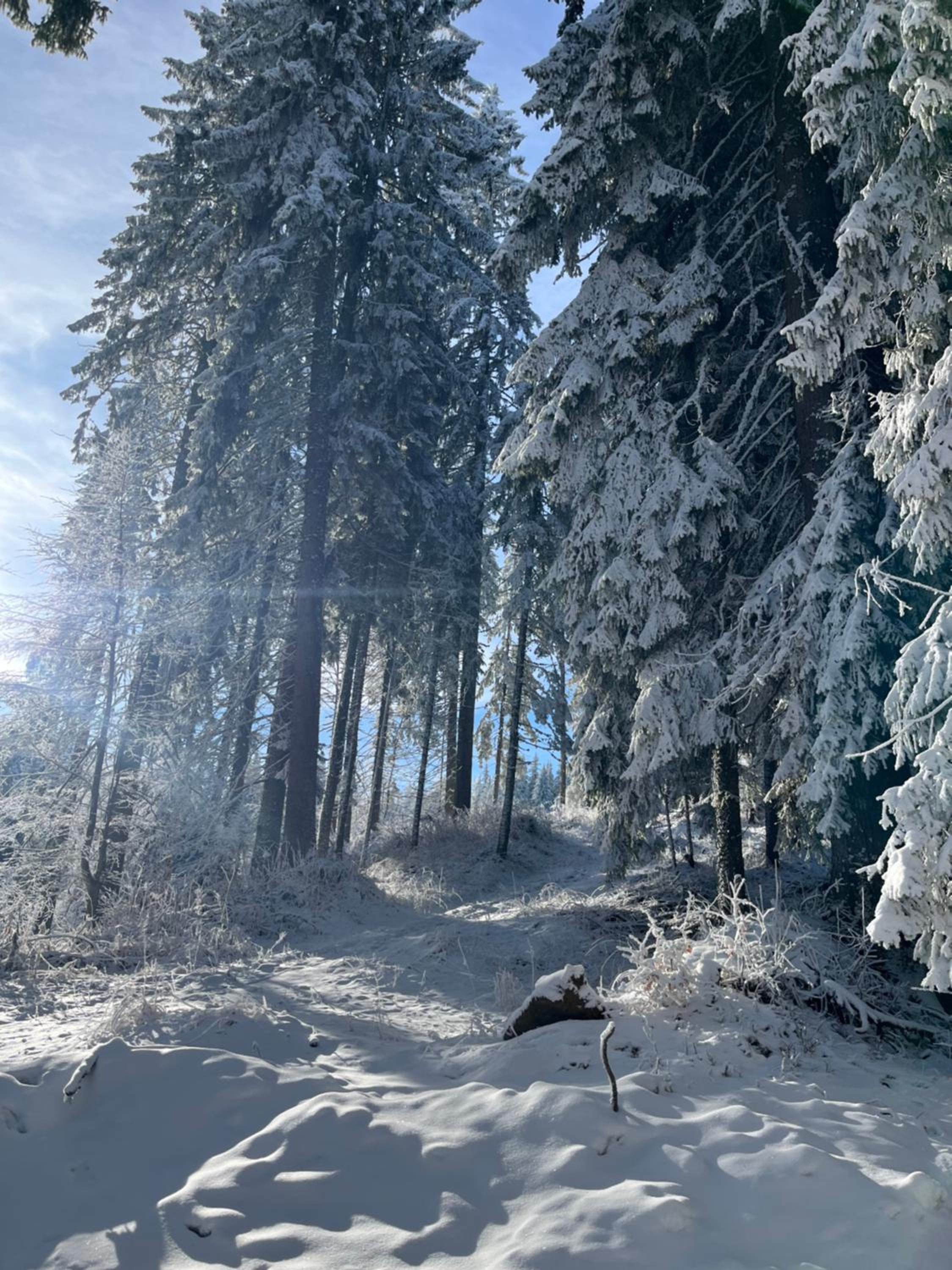 Elizi winter apartments Pamporovo