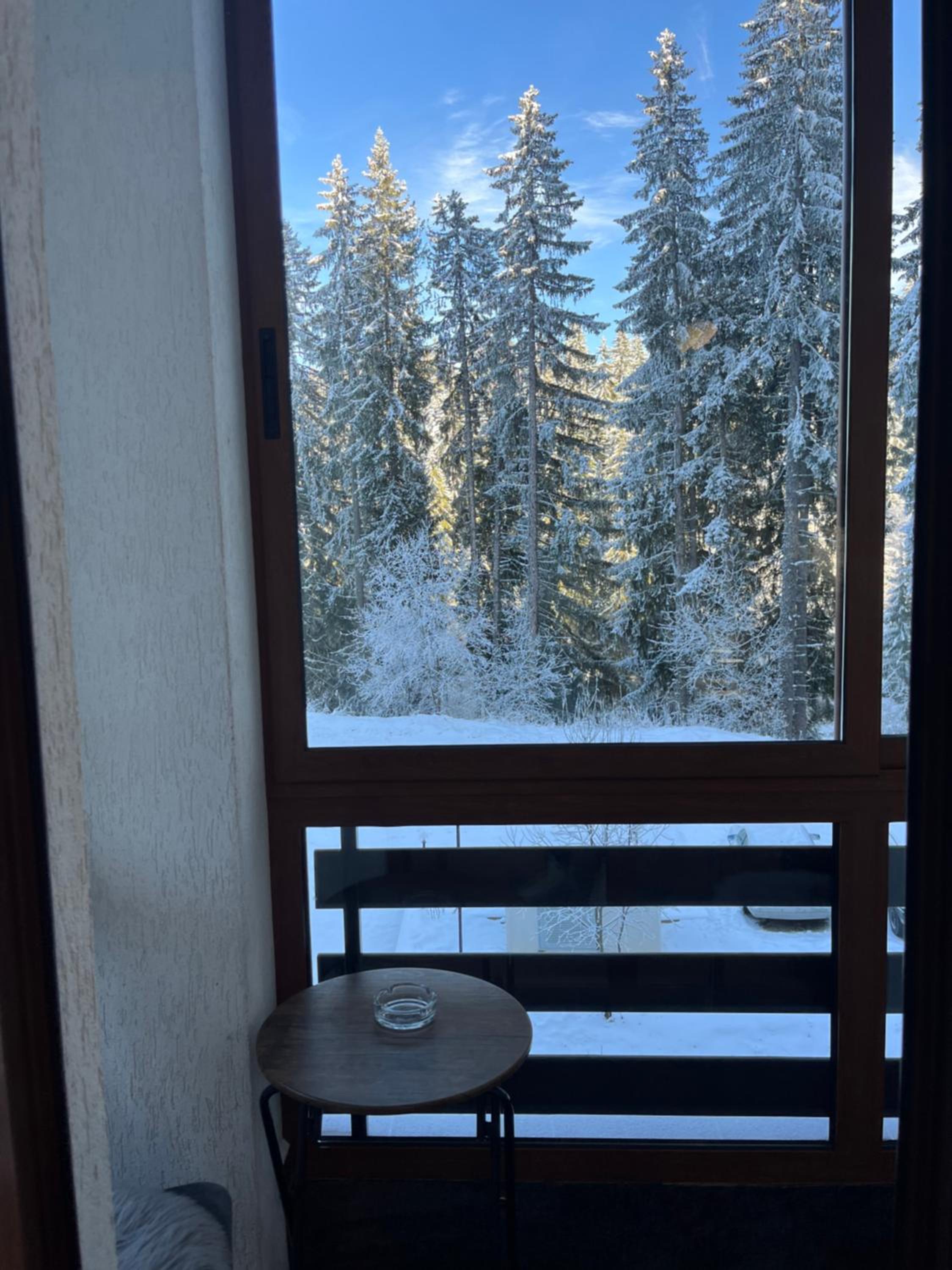Elizi winter apartments Pamporovo