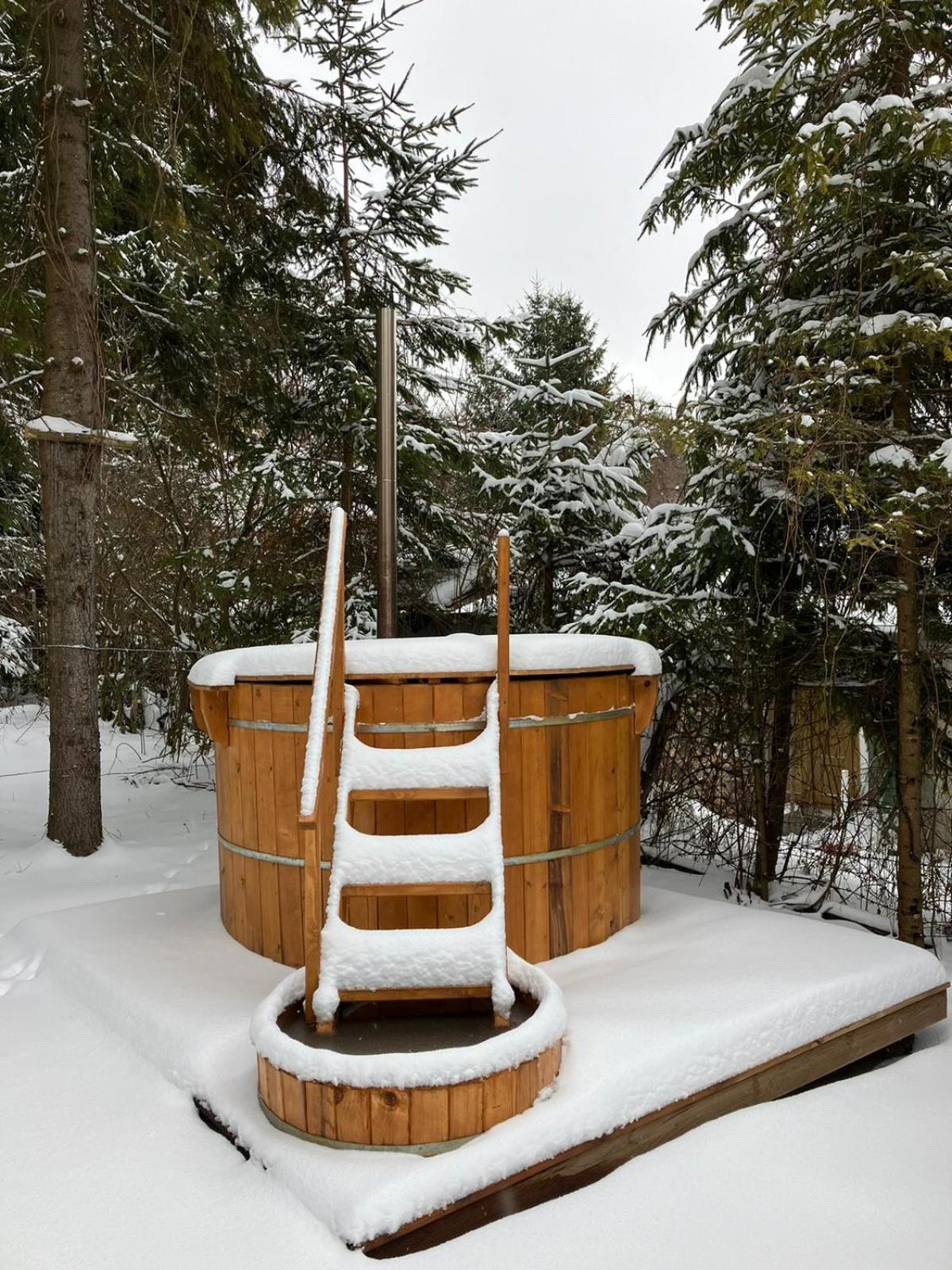 Evergreen Balvanyos view 2