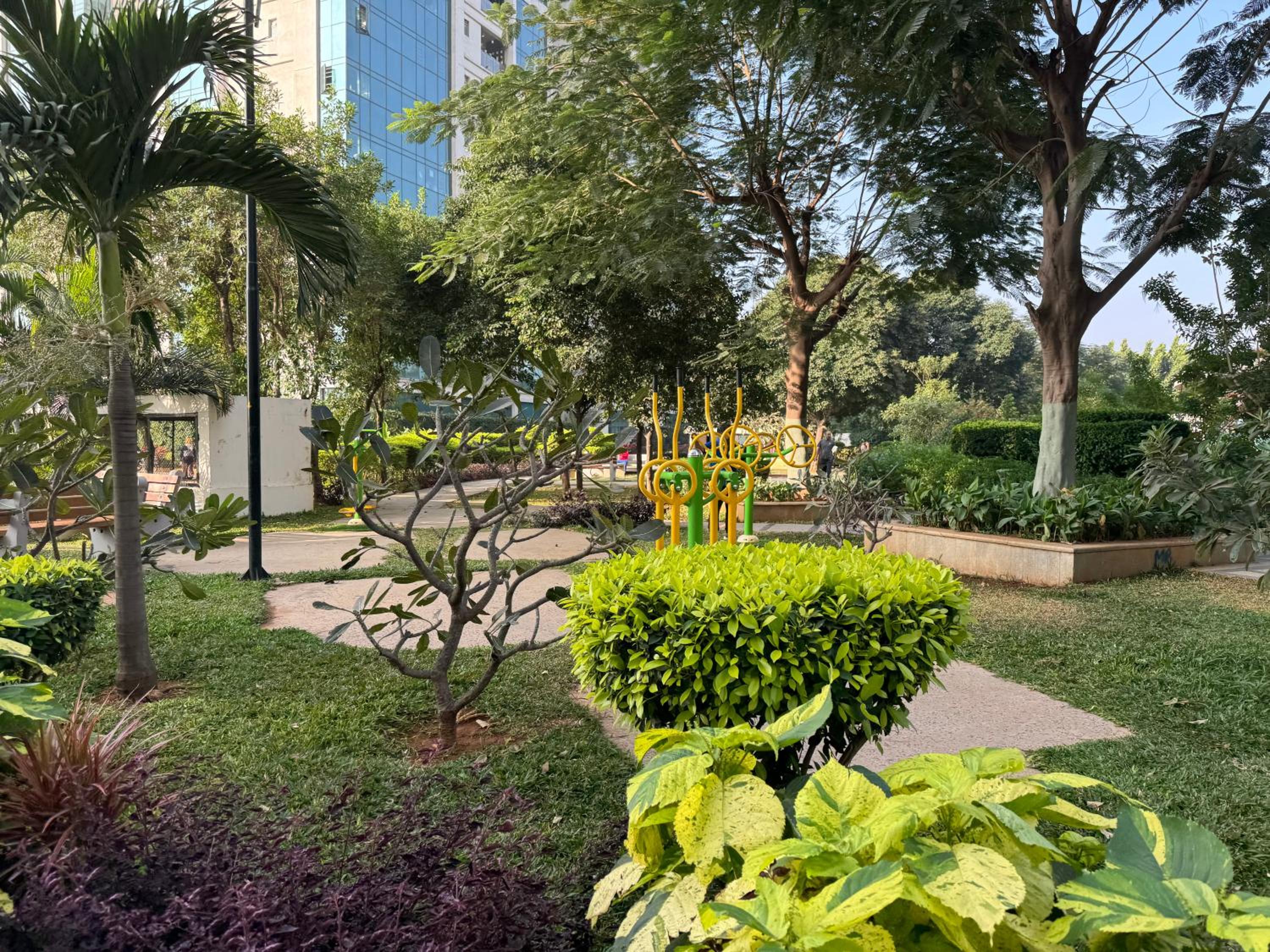 activities & amenities