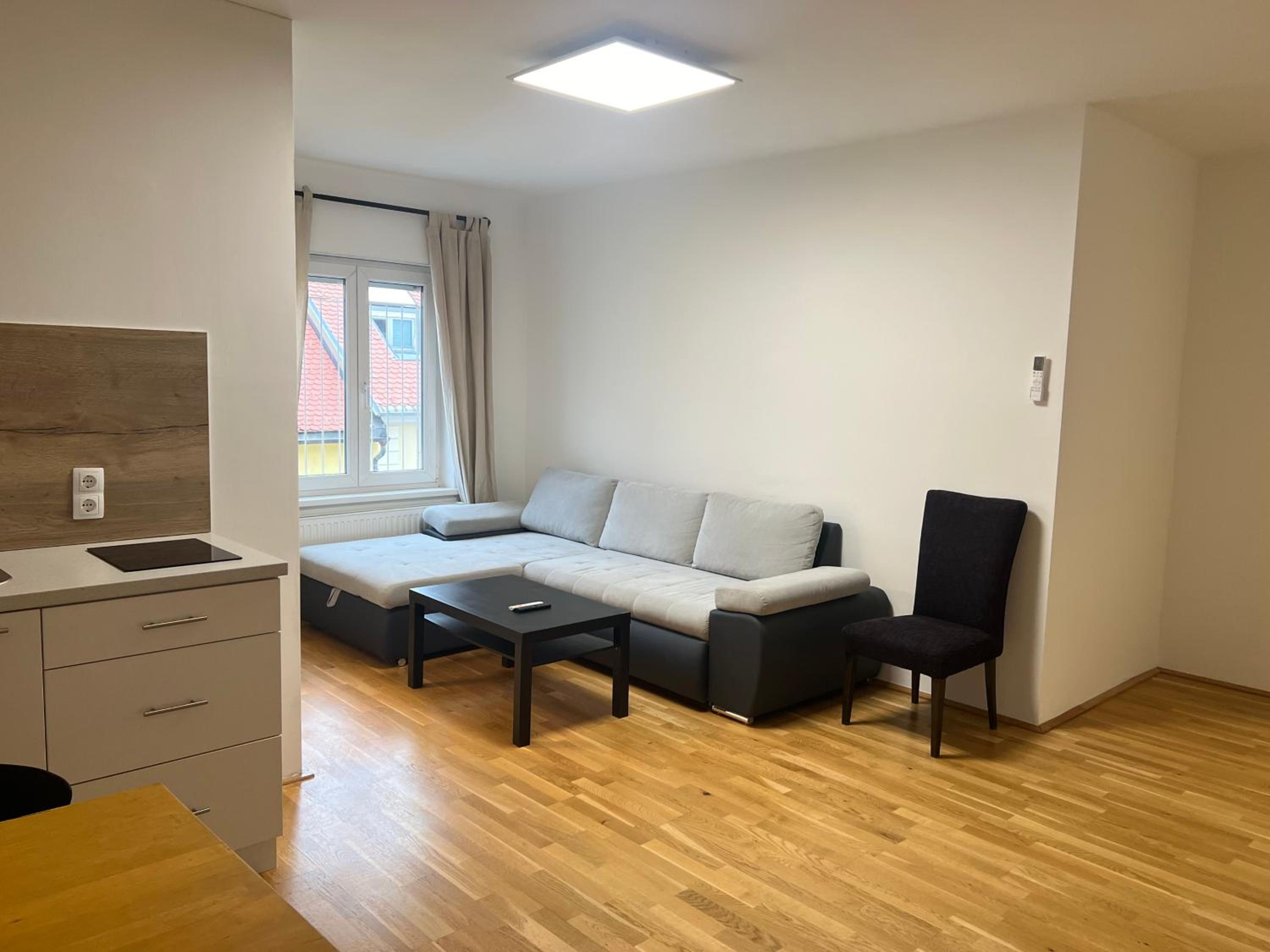Apartment Zhang