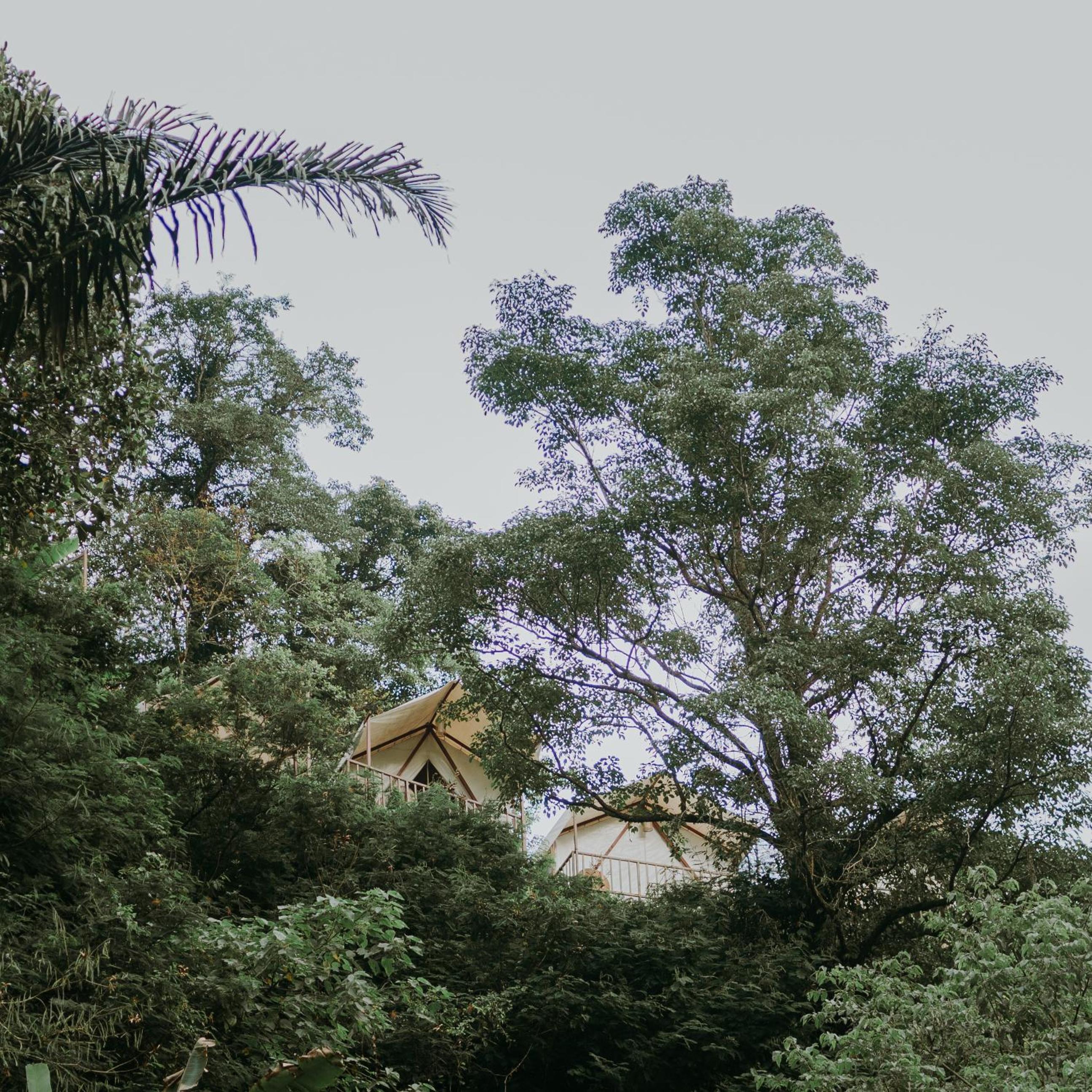 Glamping tent in Pelaga Eco Park