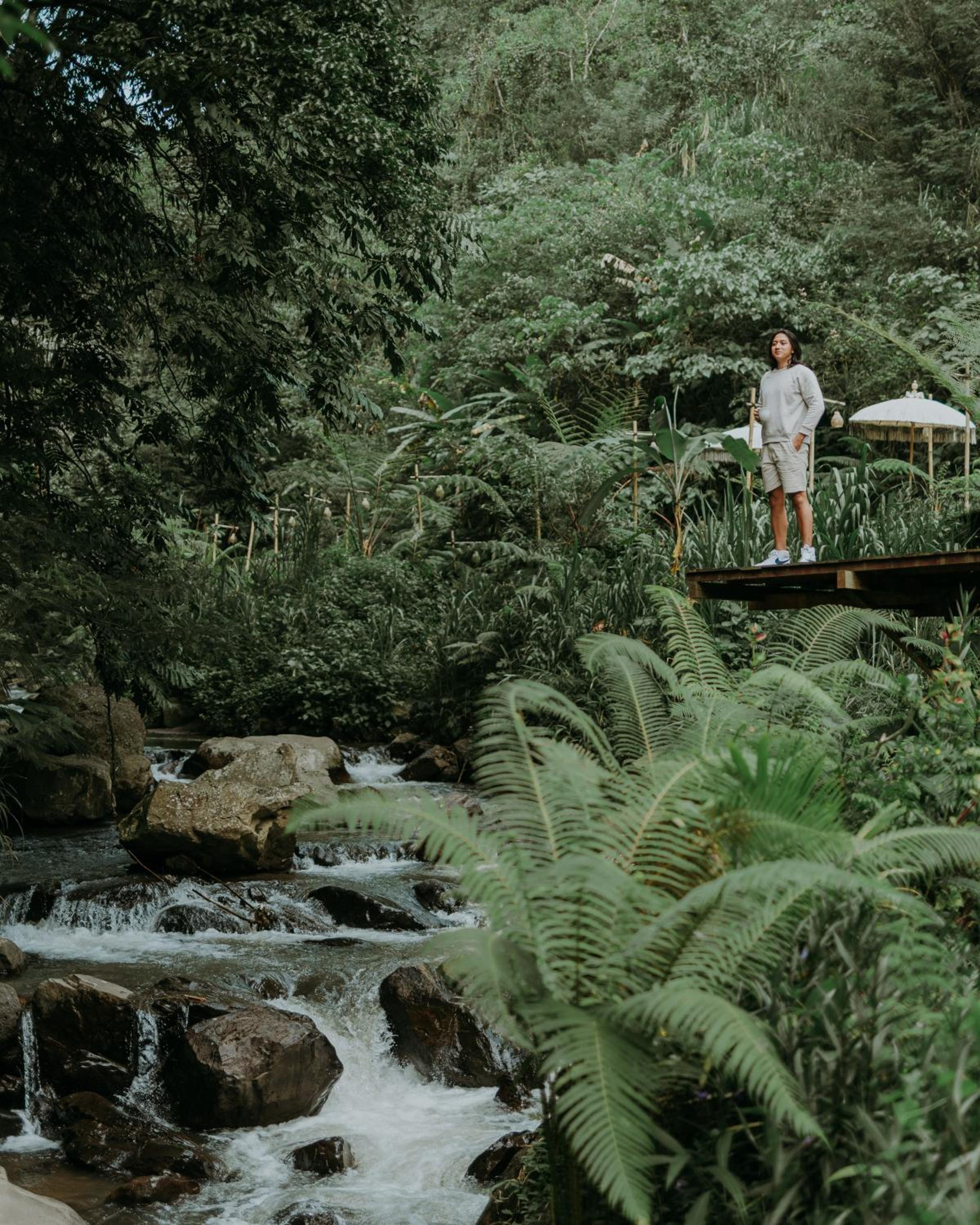 Glamping tent in Pelaga Eco Park