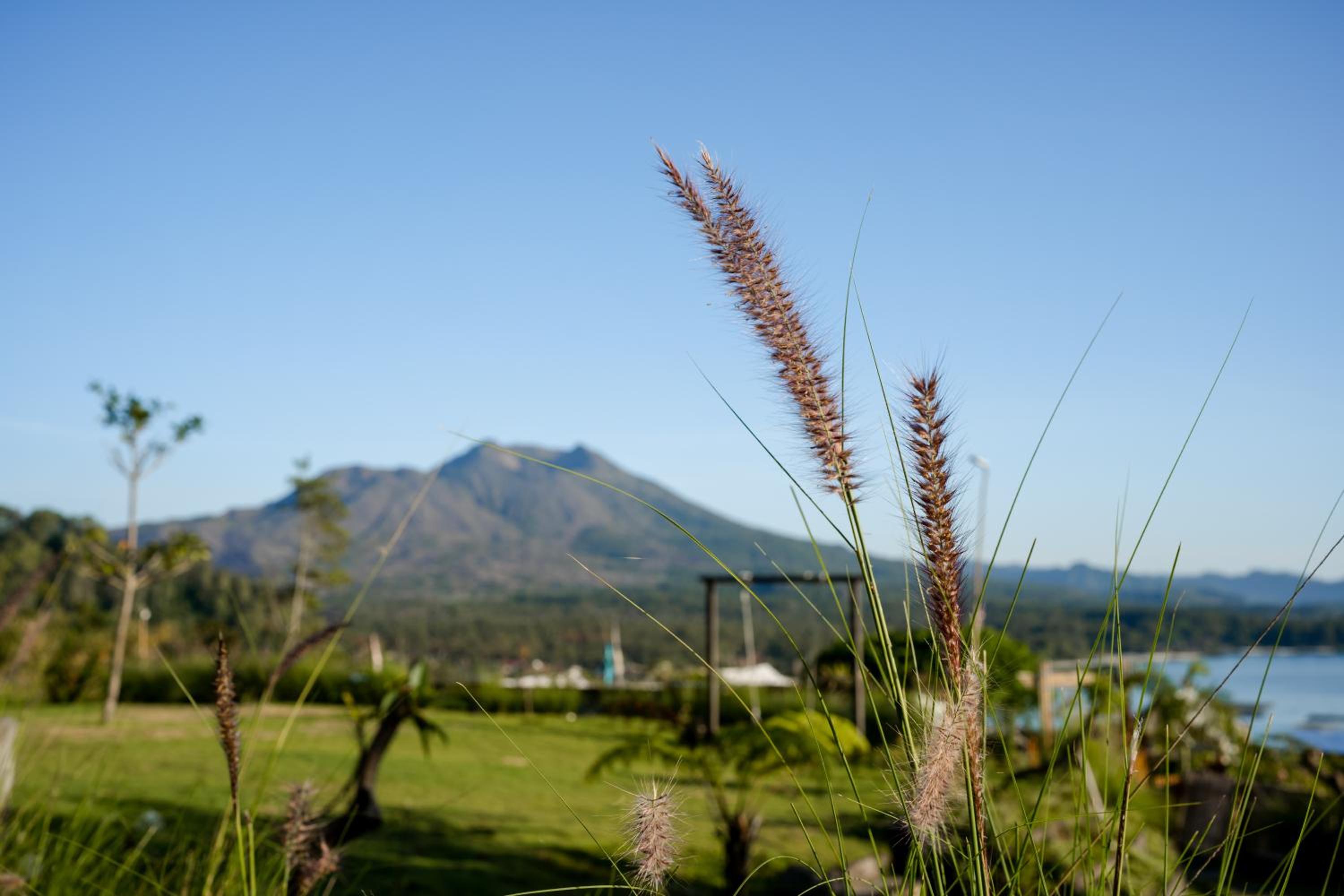 Samuh Camp Kintamani