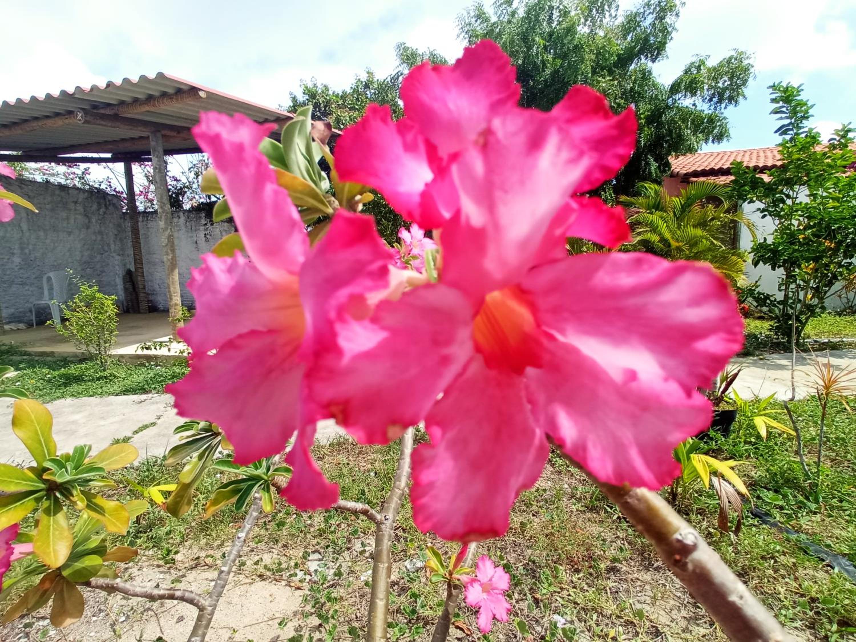 Casa INTI de Maracajaú