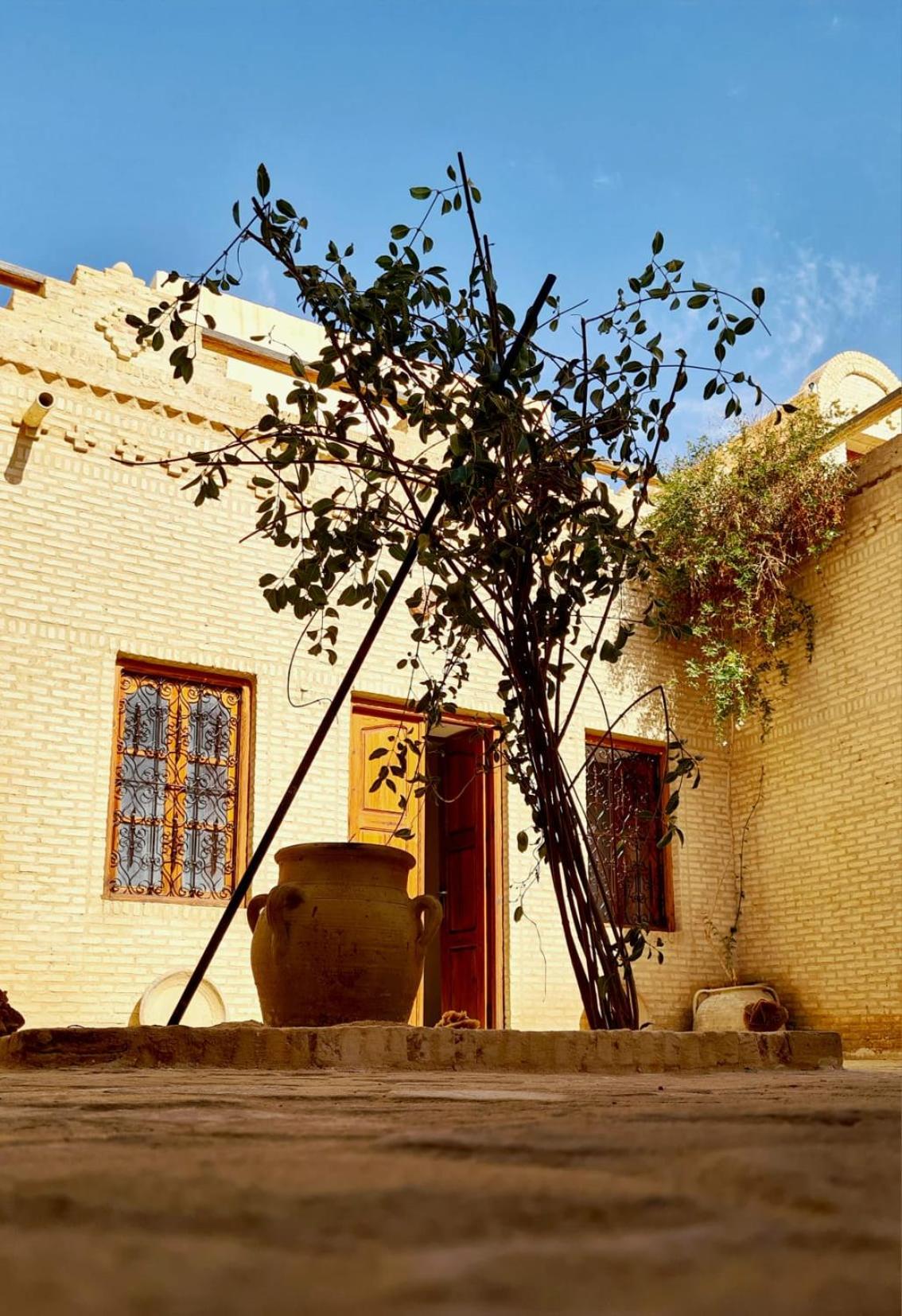 Tozeur Vacations - Maison de Vacances "Dar Khalifa" - Property Image 6