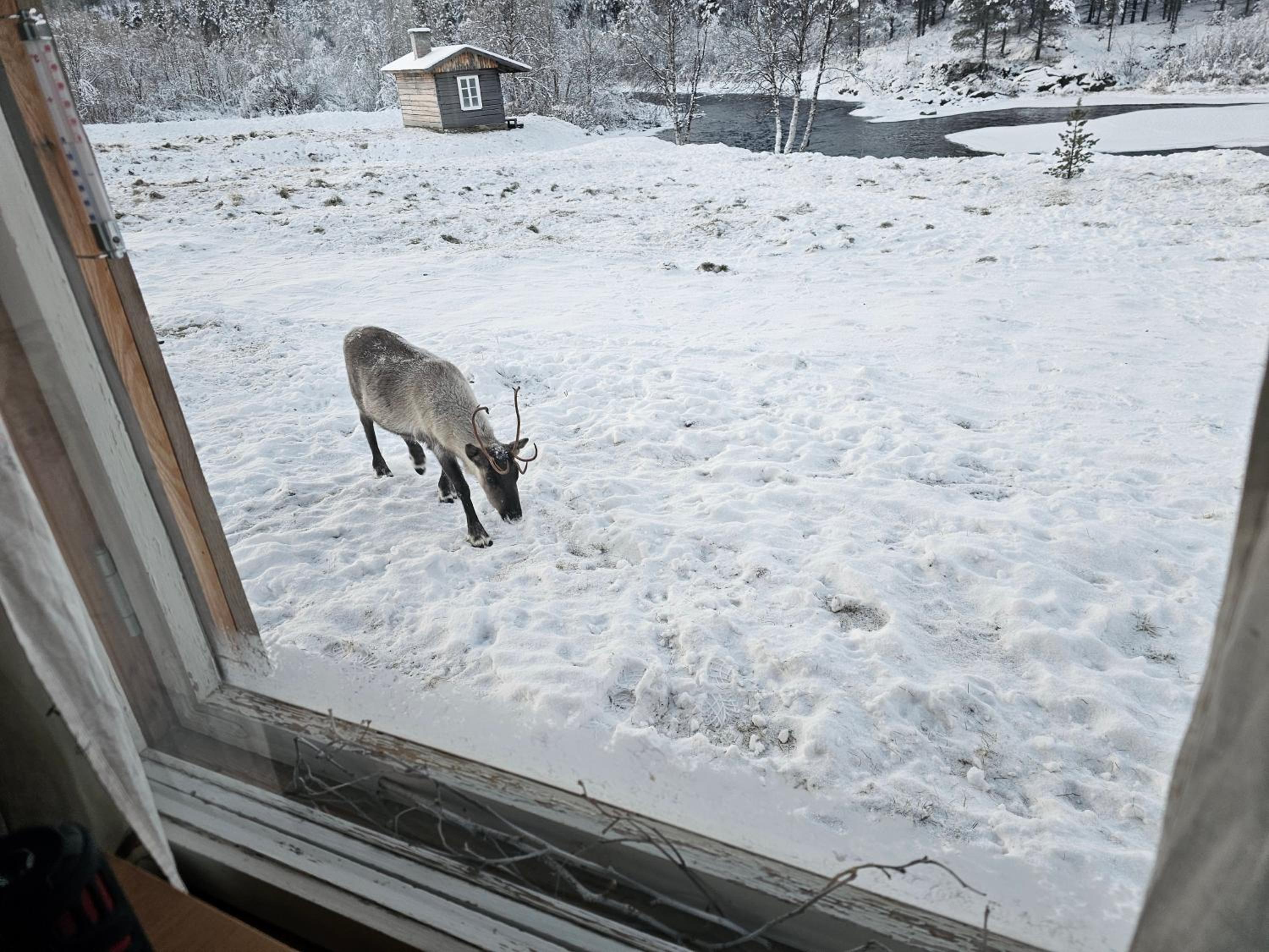 Leppälän vanhatupa rantasaunalla