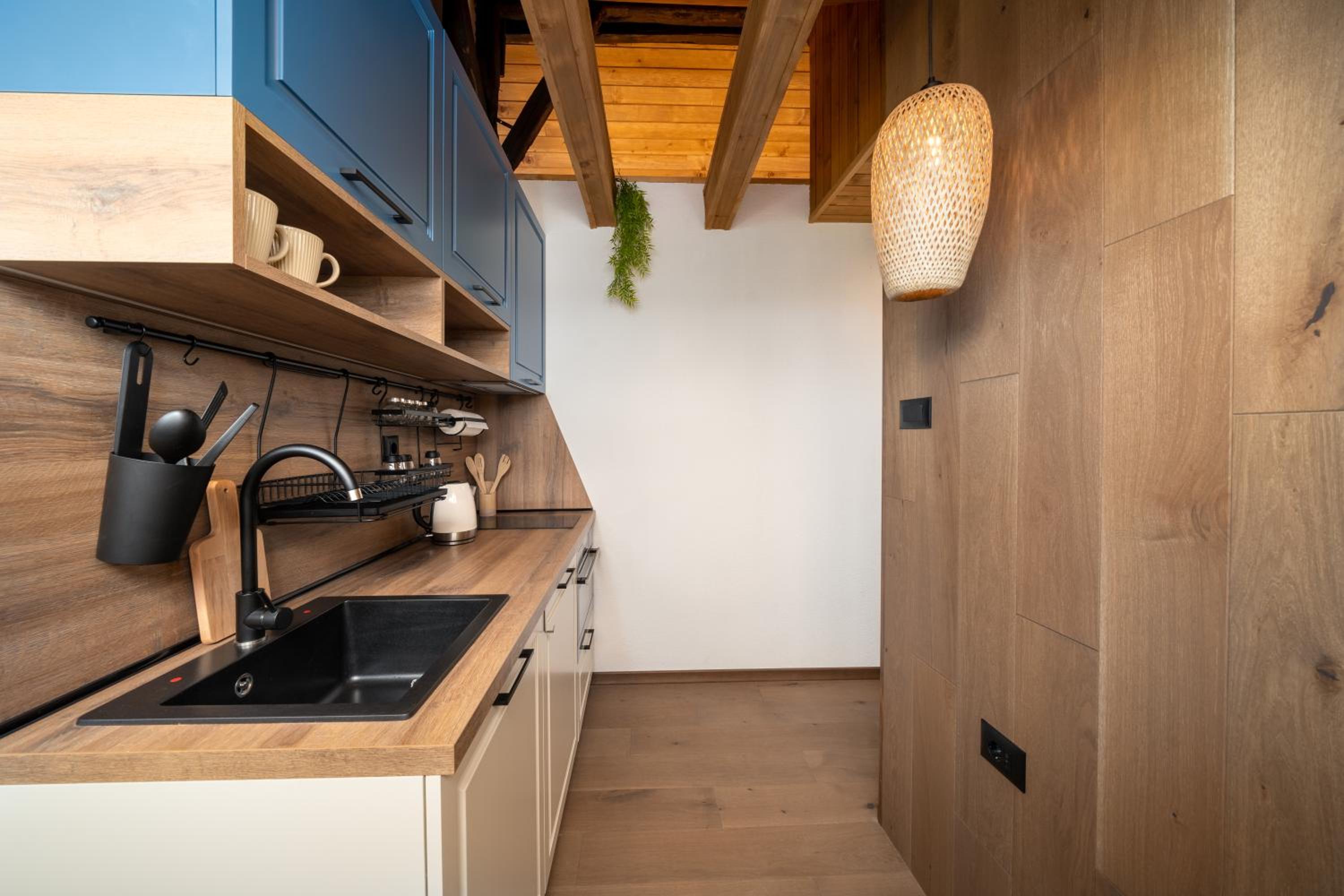 Gurgulyat view - 1 Bedroom Loft