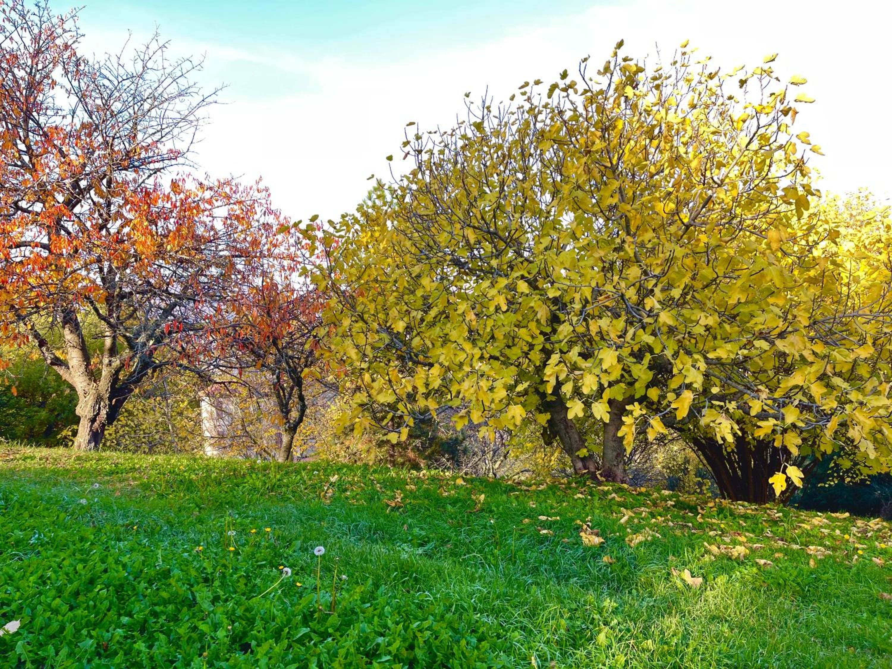 Mazzetti Country House-Vita in campagna con giardino view 4