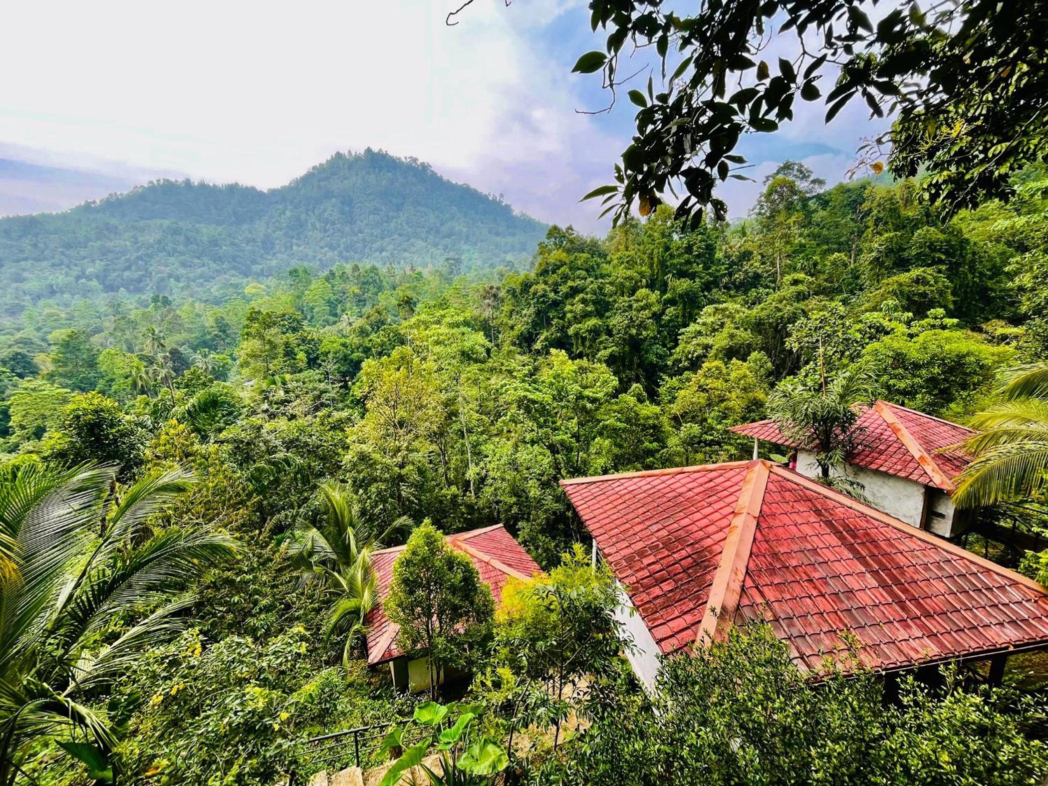 Hotel White Villa Kitulgala - Image 1