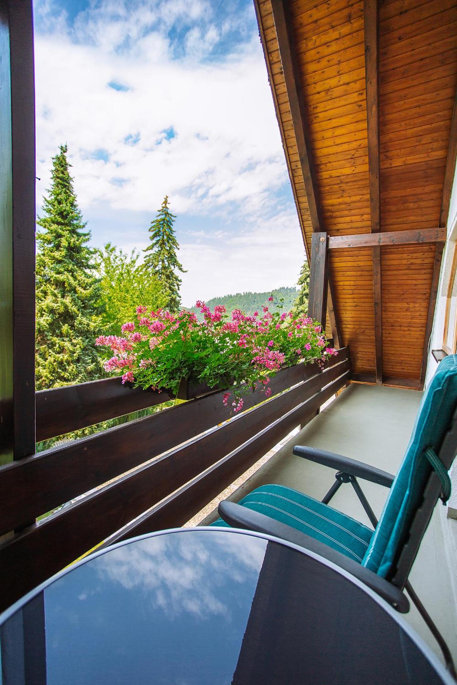 Apartment am Tannenweg