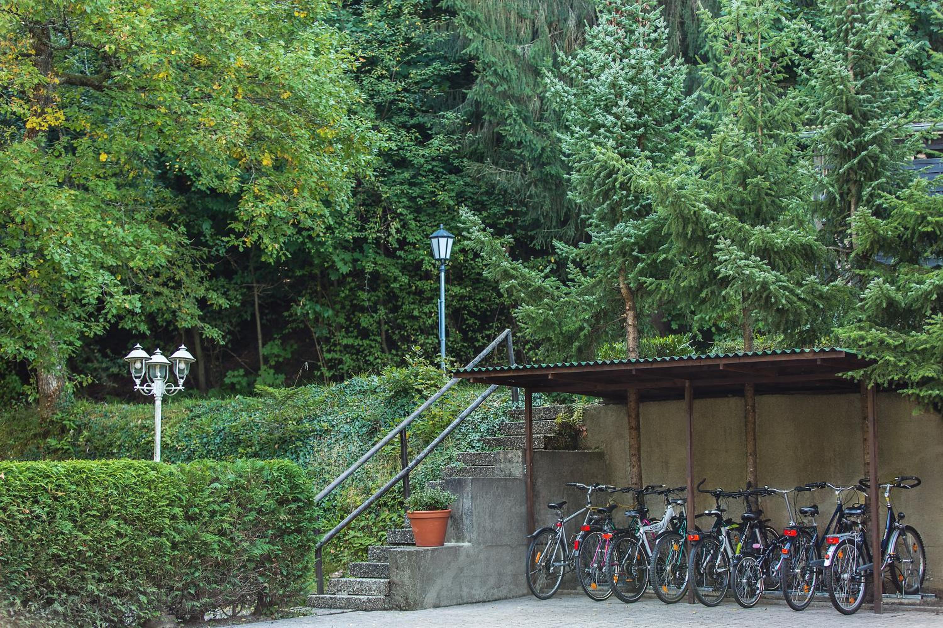 Apartment am Tannenweg