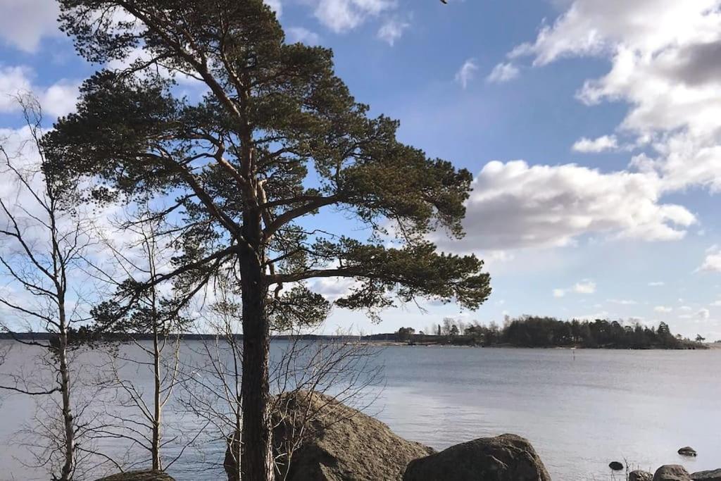 Viehättävä yksiö merellisessä Kotkassa.