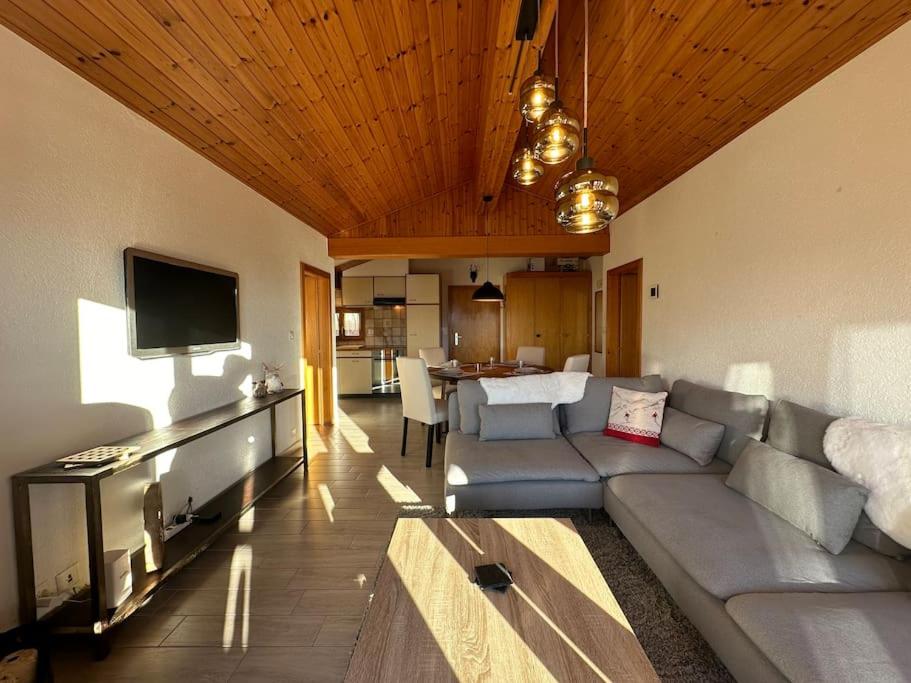 APPARTEMENT DE CHARME EN ATTIQUE dans UN PETIT CHALET